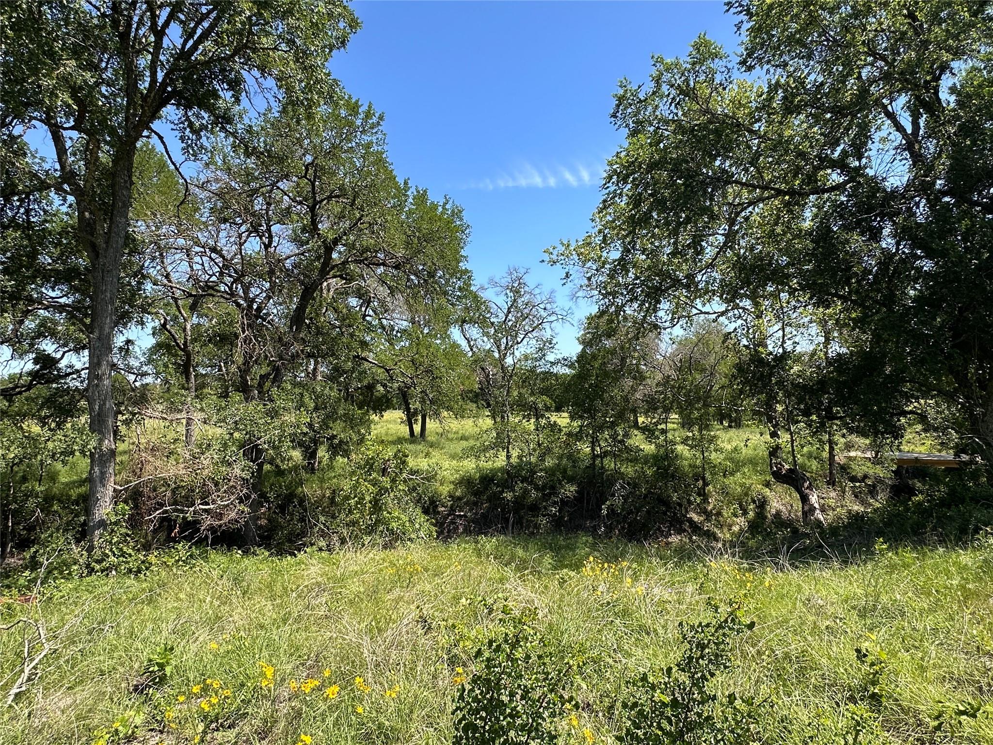 Lot 27 Serenity Dr, Bertram, TX 78605