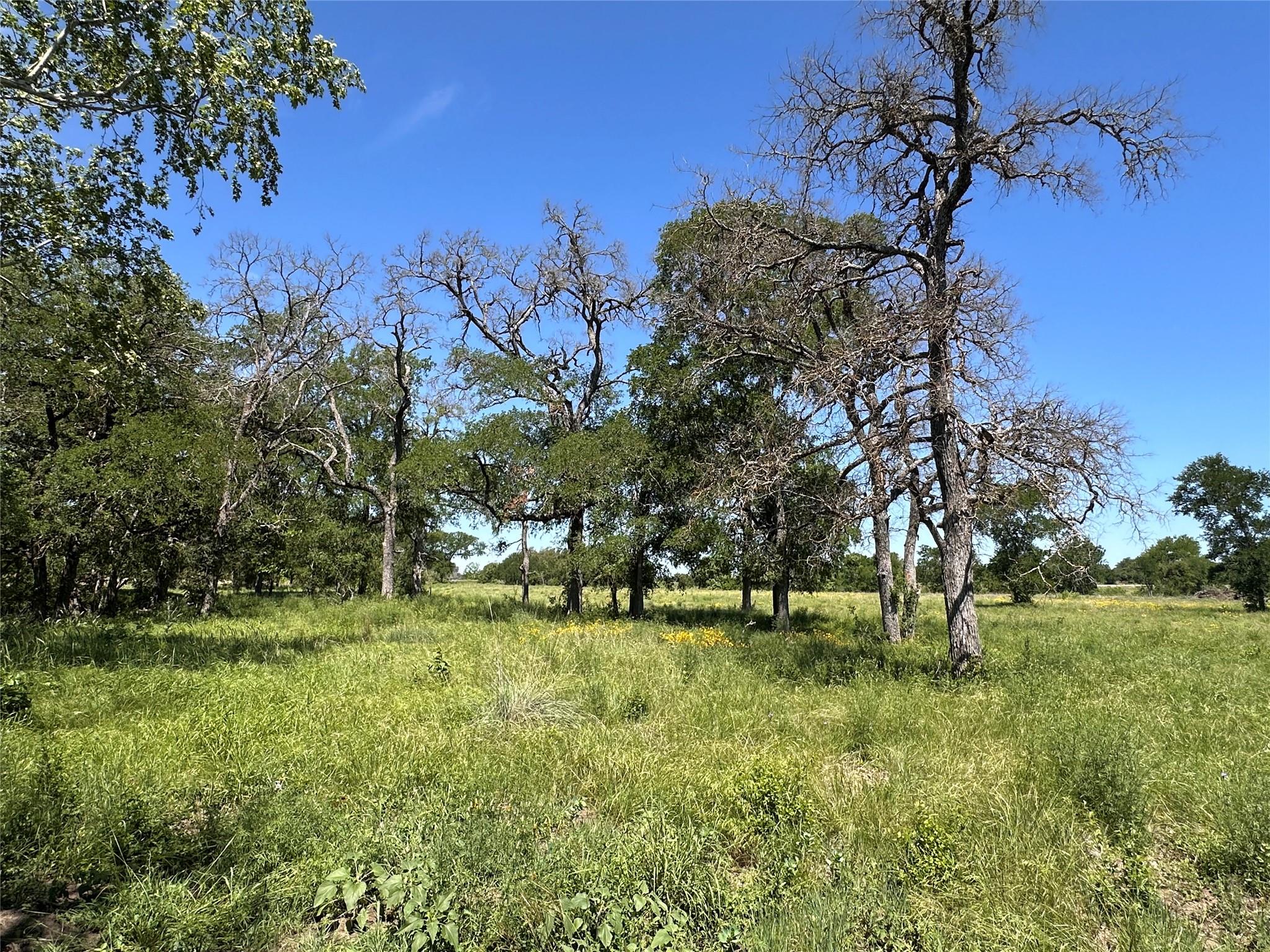 Lot 27 Serenity Dr, Bertram, TX 78605
