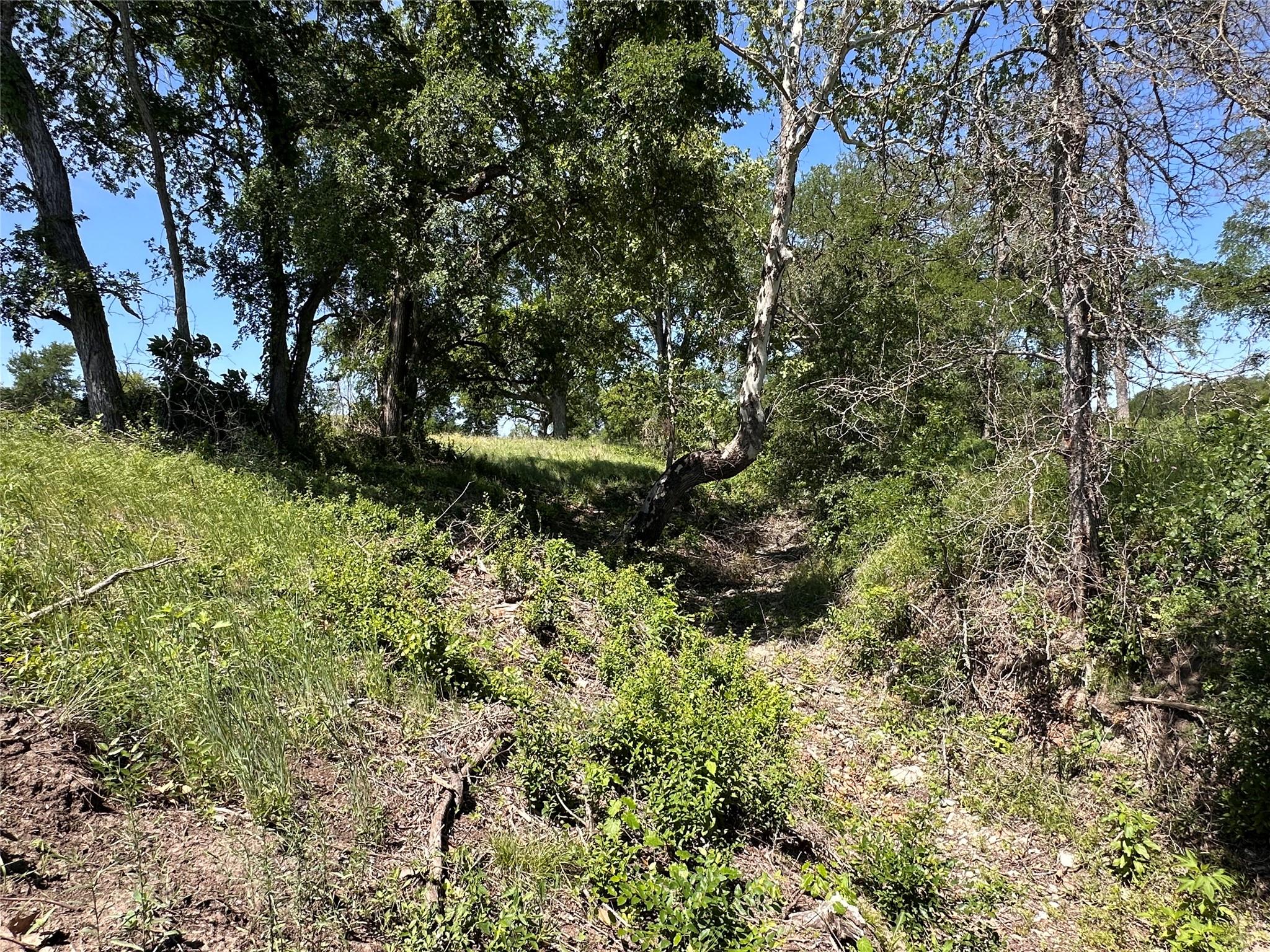 Lot 27 Serenity Dr, Bertram, TX 78605