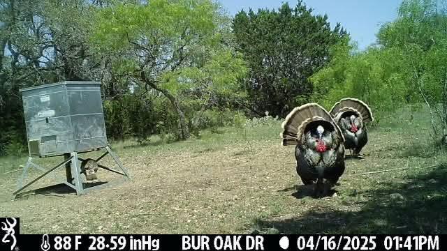 316 Bur Oak Dr, Goldthwaite, TX 76844
