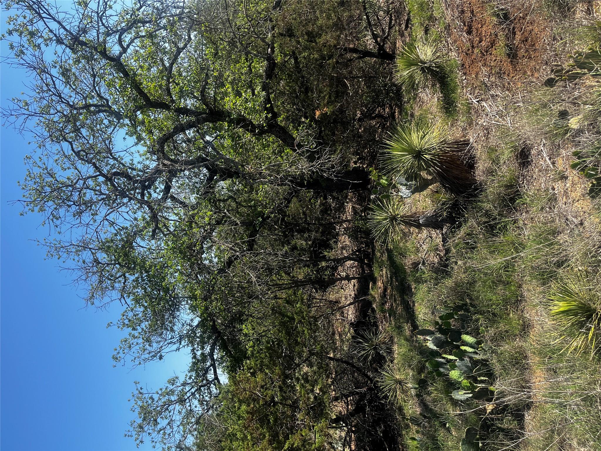 0 Castlebriar St, Granite Shoals, TX 78654