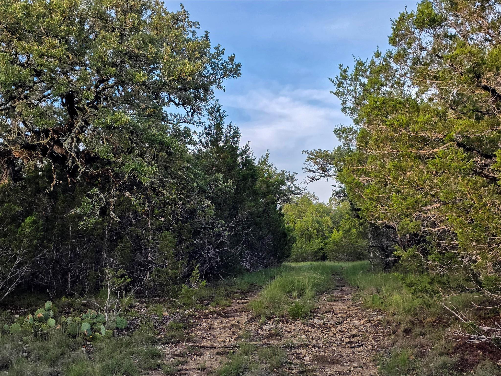 3000 Cty Road 207, Liberty Hill, TX 78642