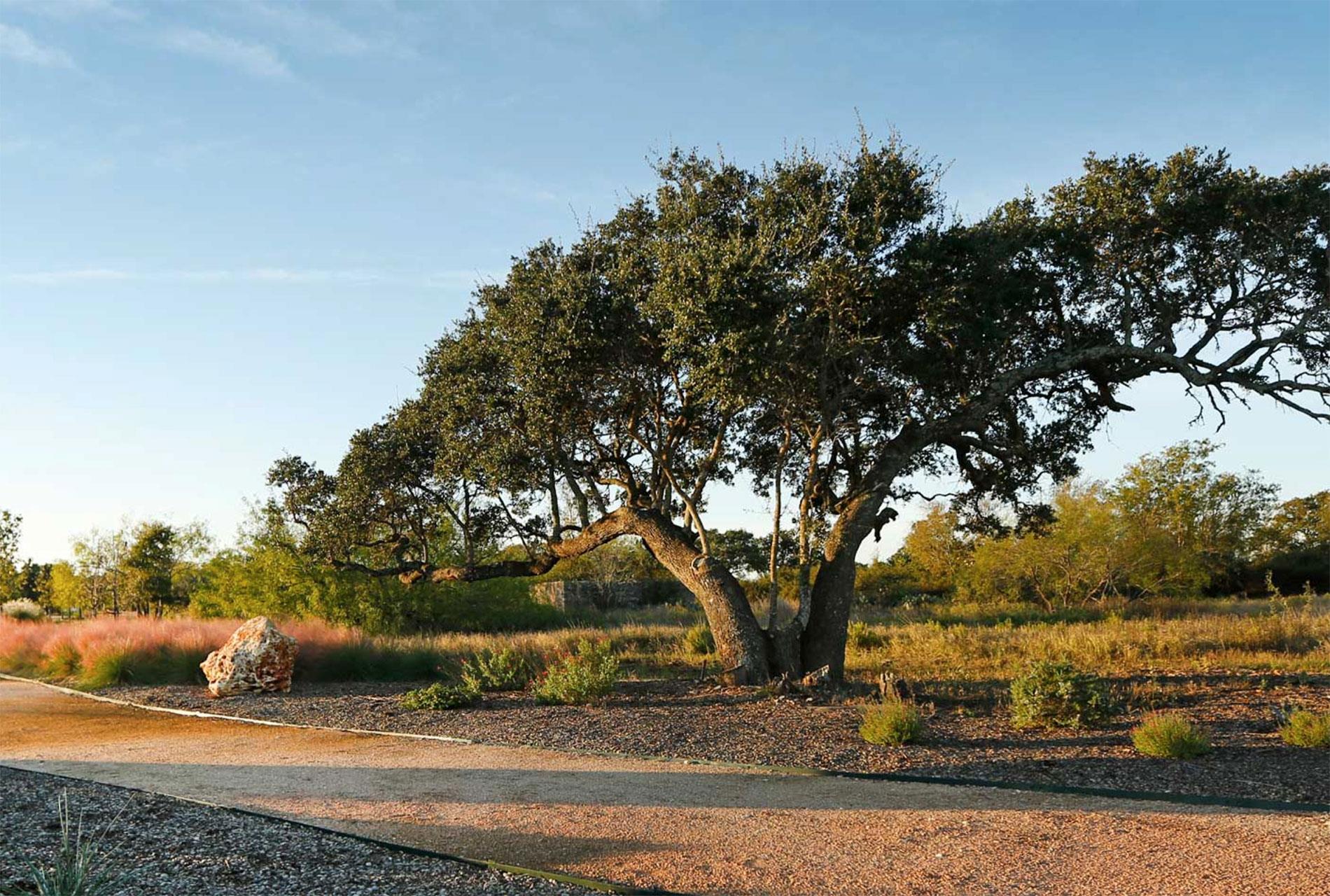 637 Hickory Bend Rd, Georgetown, TX 78628