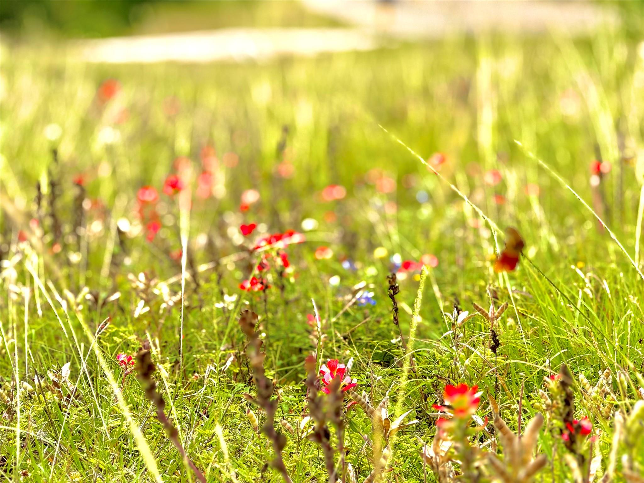 TBD Tract Q FM 108, Smiley, TX 78159