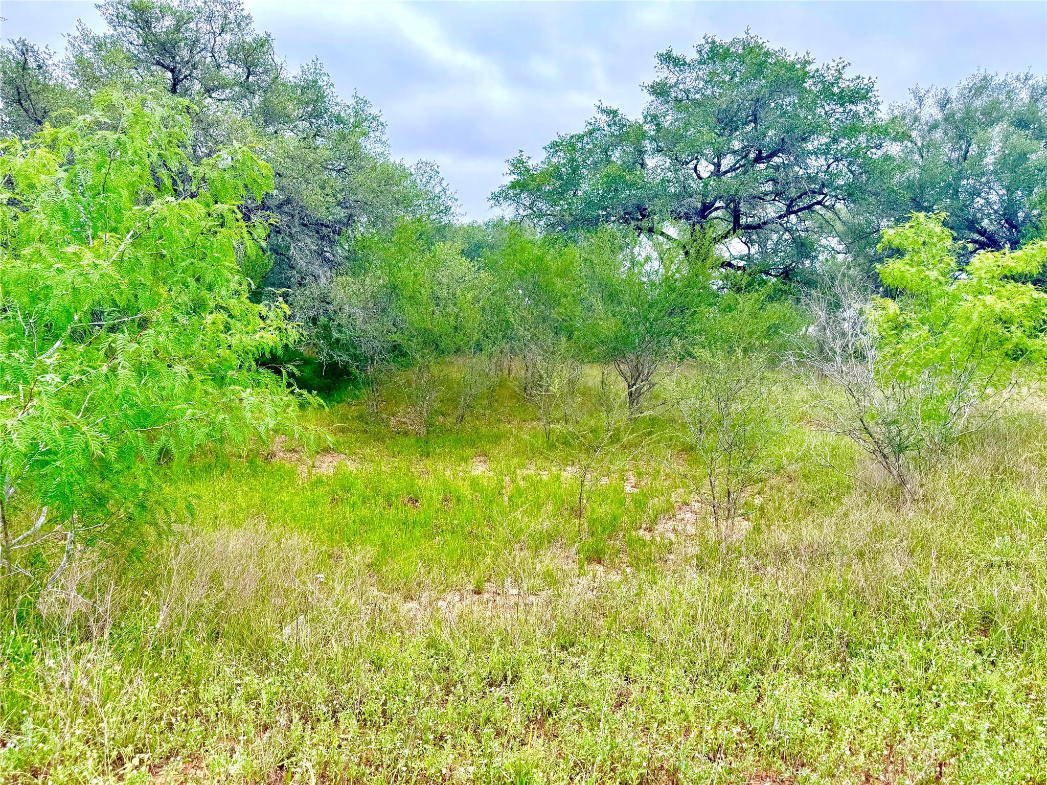 TBD Tract Q FM 108, Smiley, TX 78159