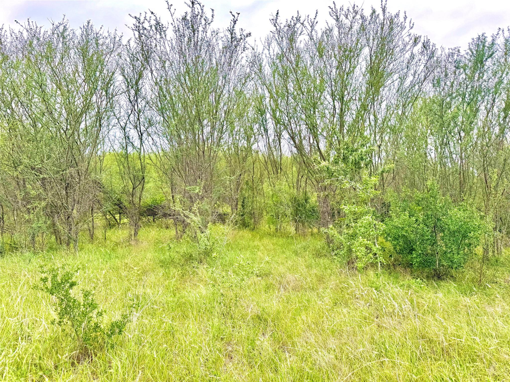 TBD Tract Q FM 108, Smiley, TX 78159