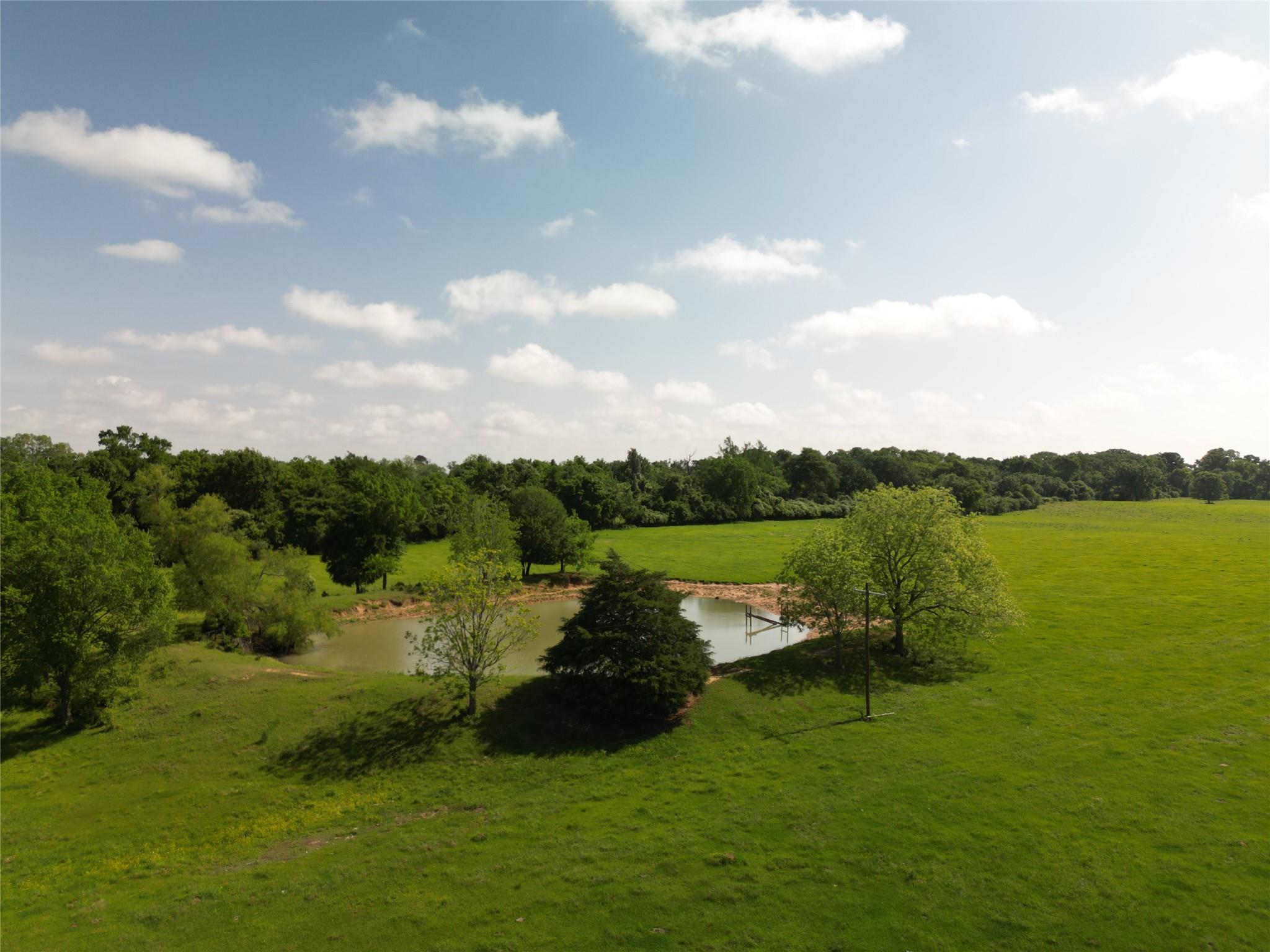 17137 County Road 319, Navasota, TX 77868