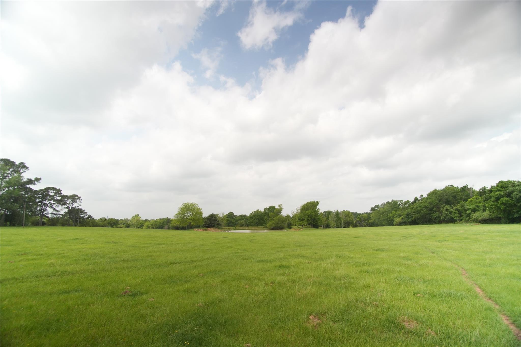 17137 County Road 319, Navasota, TX 77868