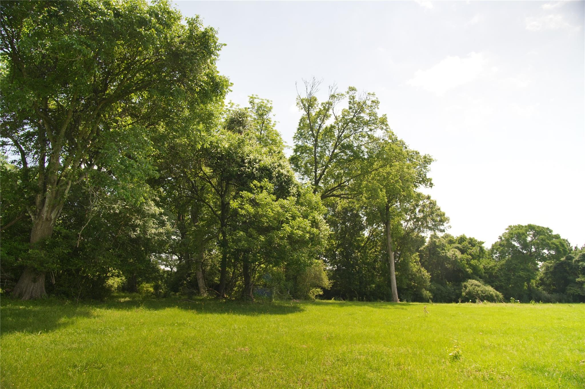 17137 County Road 319, Navasota, TX 77868