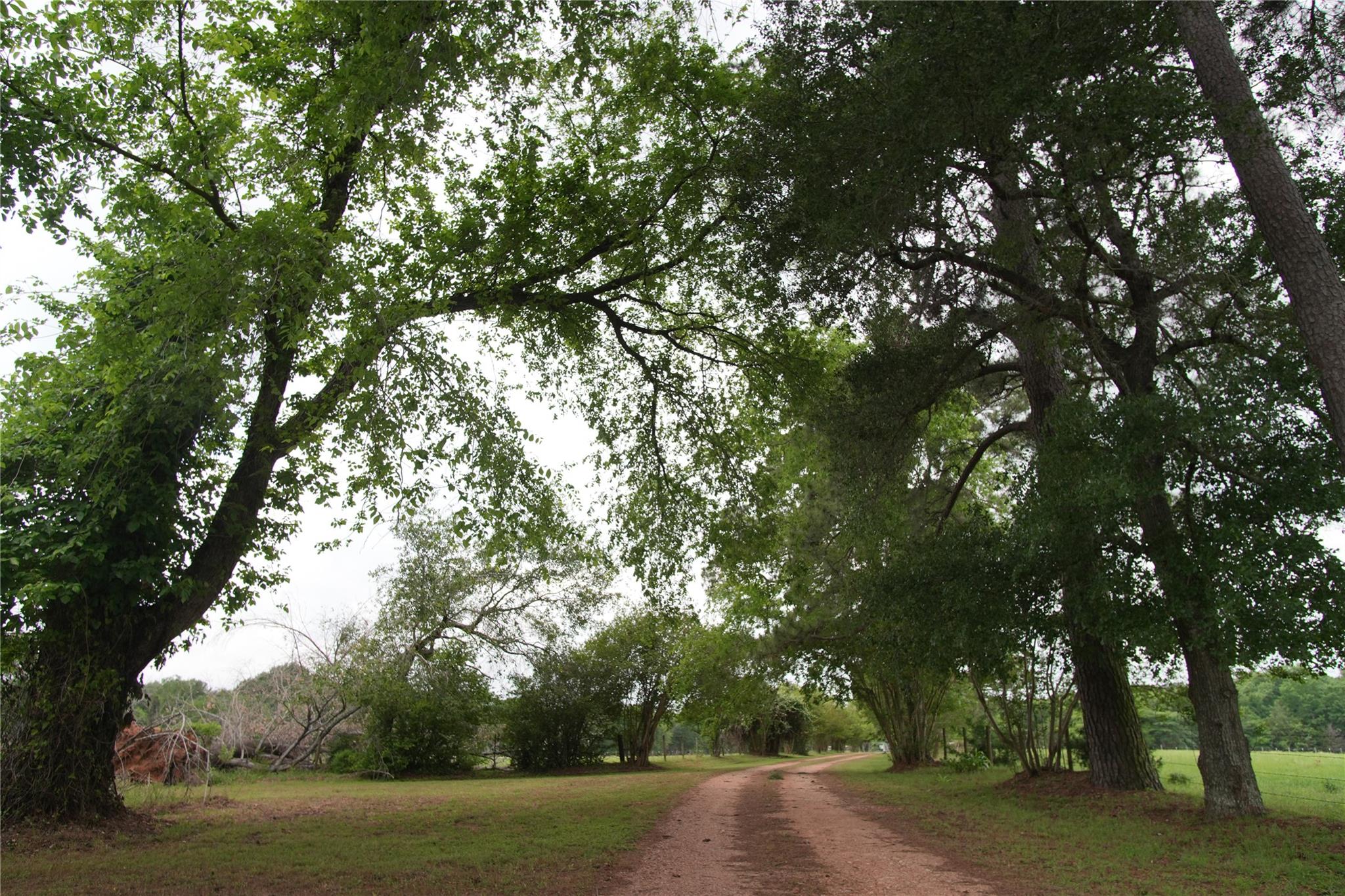 17137 County Road 319, Navasota, TX 77868