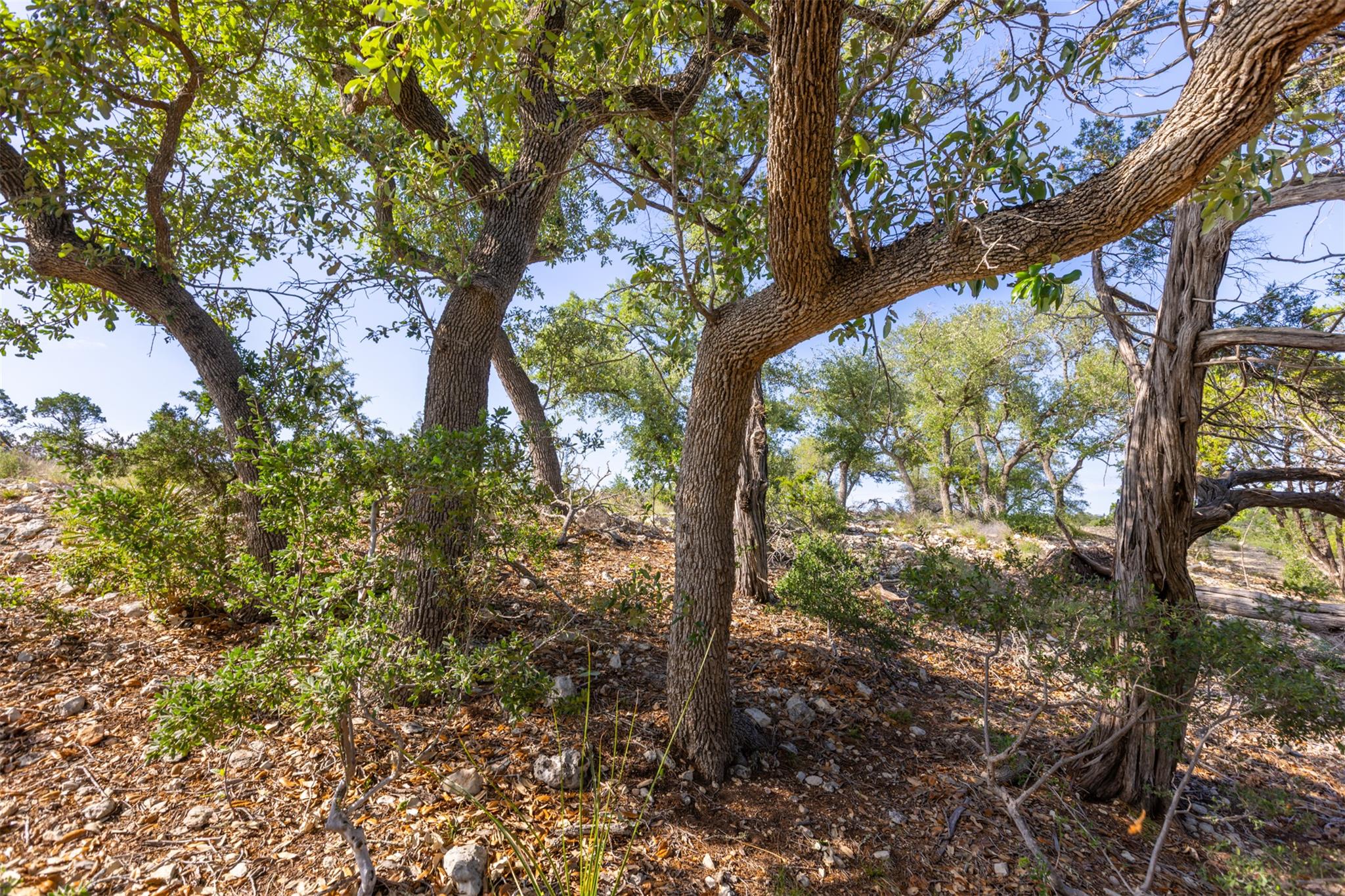 1610 Paradise Pkwy, Canyon Lake, TX 78133