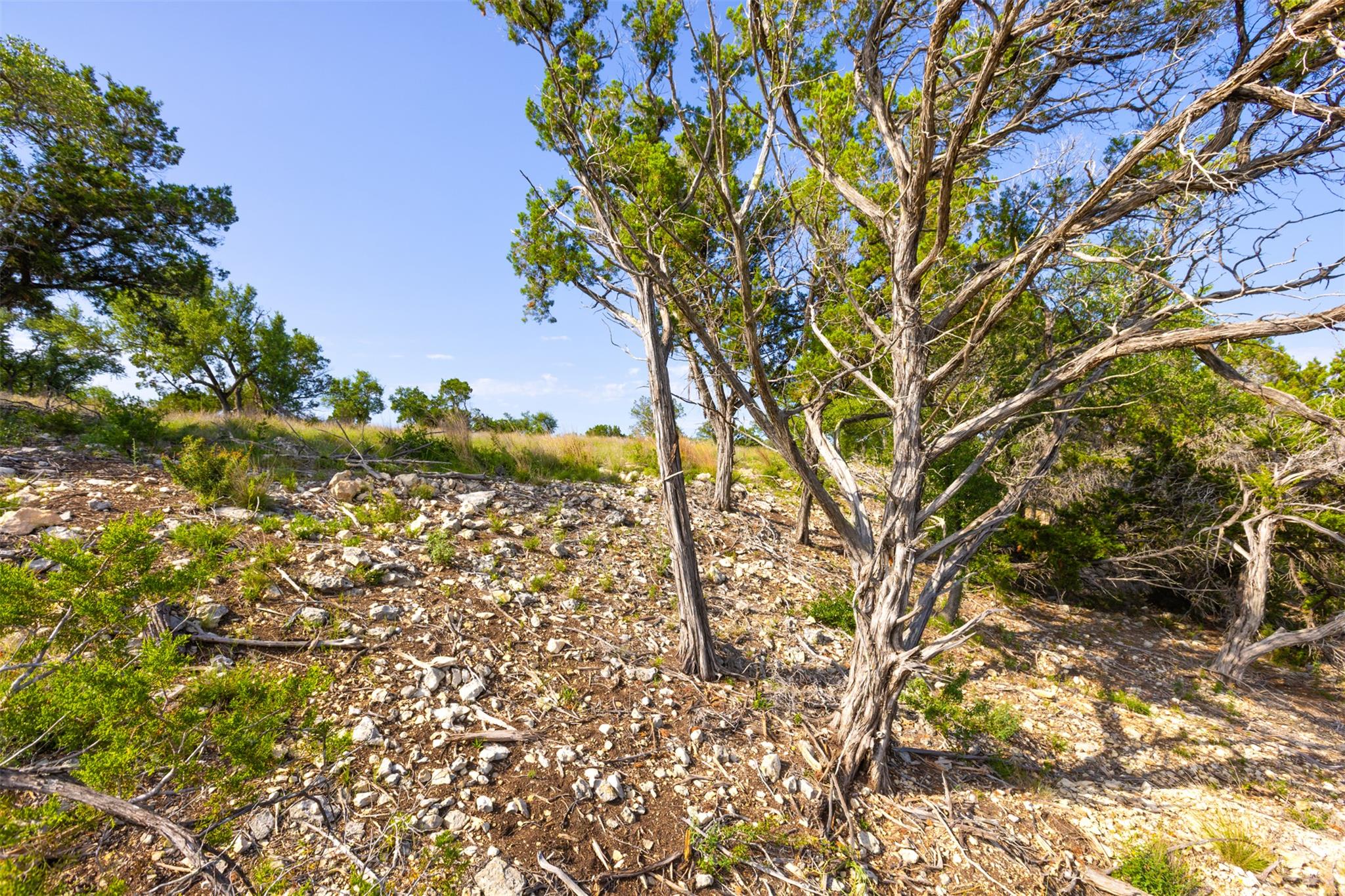 1610 Paradise Pkwy, Canyon Lake, TX 78133