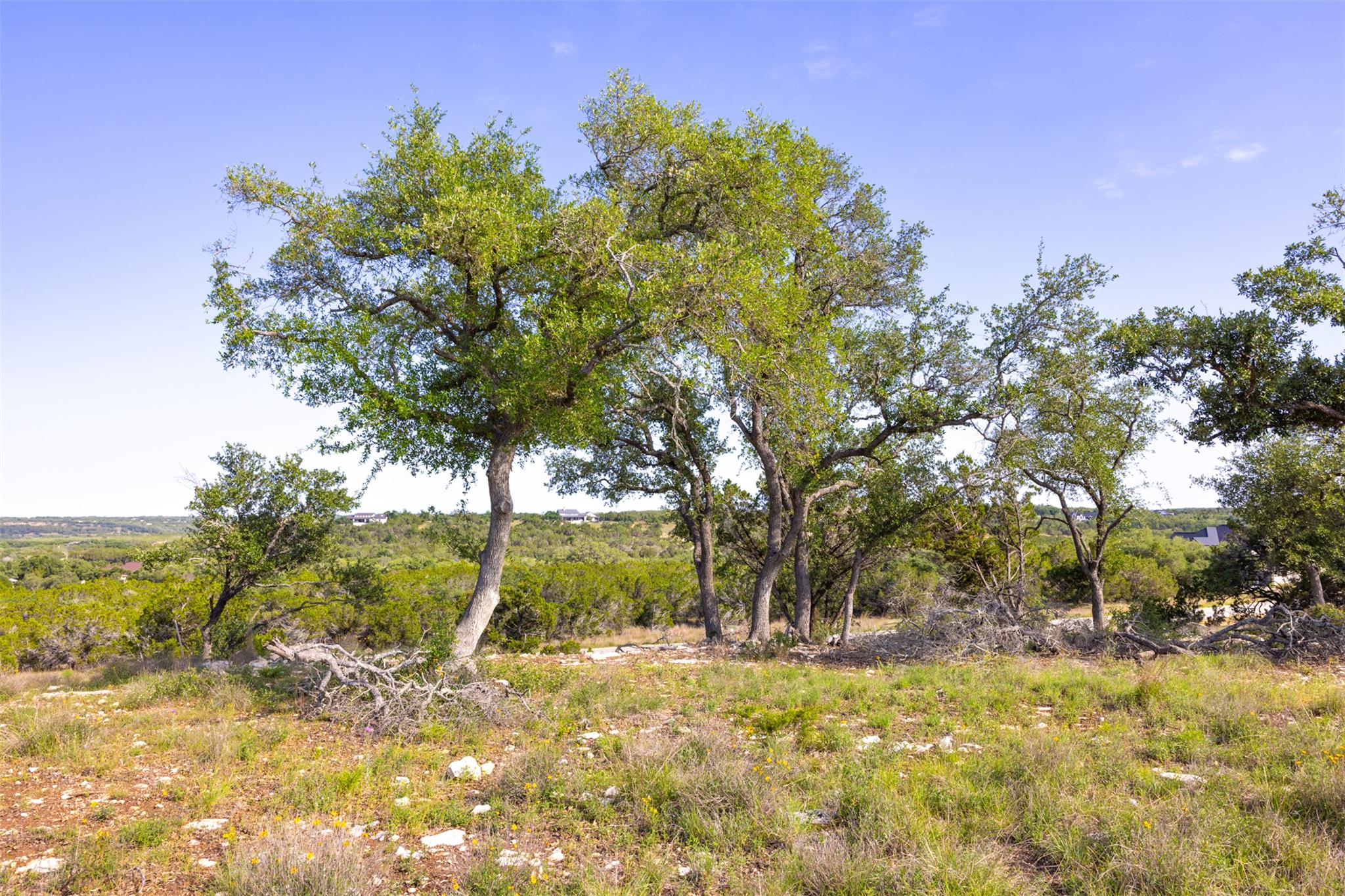 1610 Paradise Pkwy, Canyon Lake, TX 78133