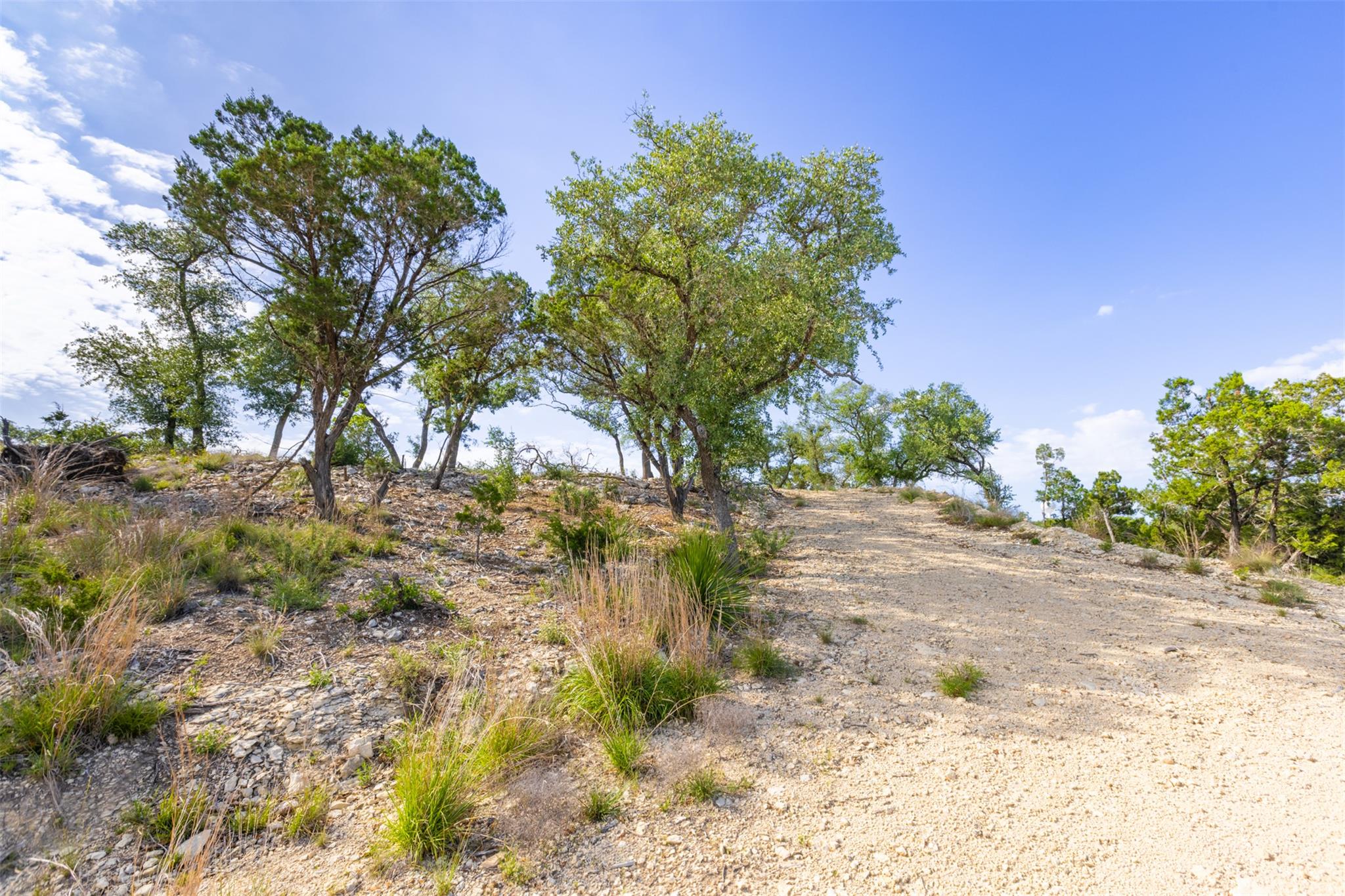 1610 Paradise Pkwy, Canyon Lake, TX 78133