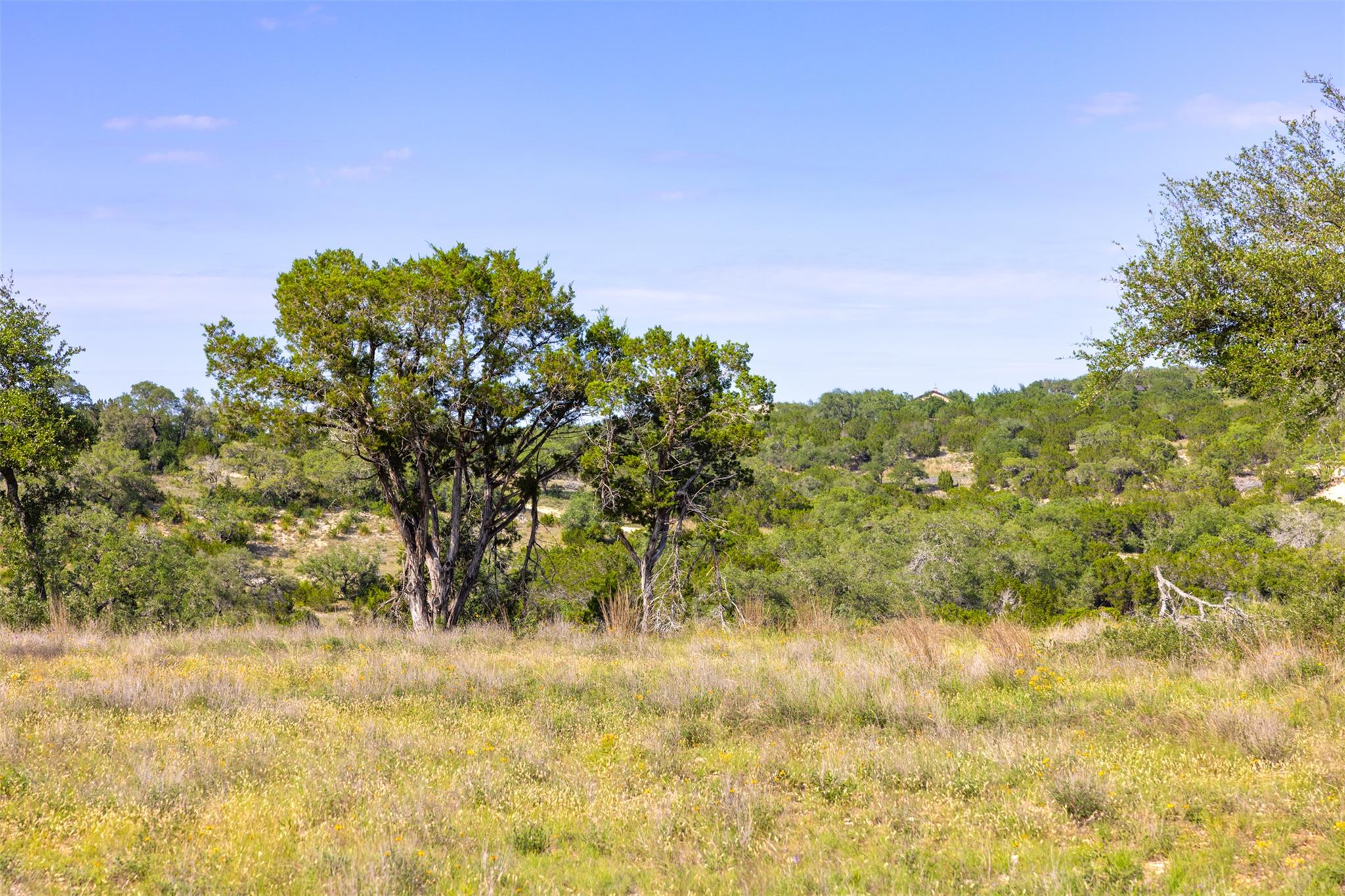 1610 Paradise Pkwy, Canyon Lake, TX 78133