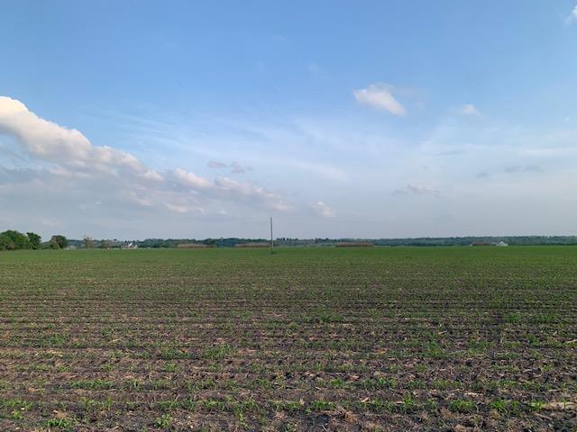 Tract 3 County Road 425, Thorndale, TX 76577