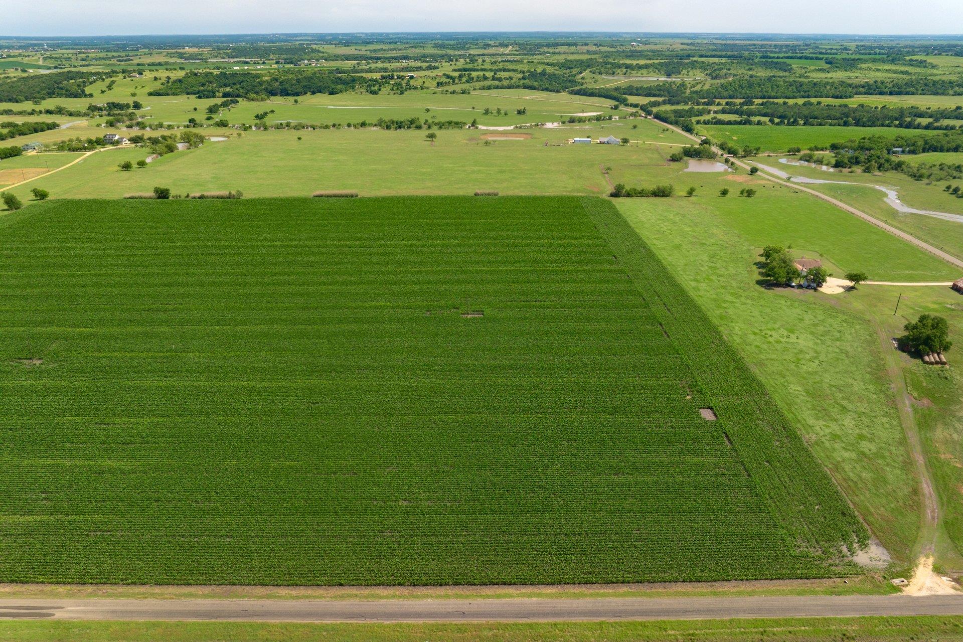 Tract 3 County Road 425, Thorndale, TX 76577