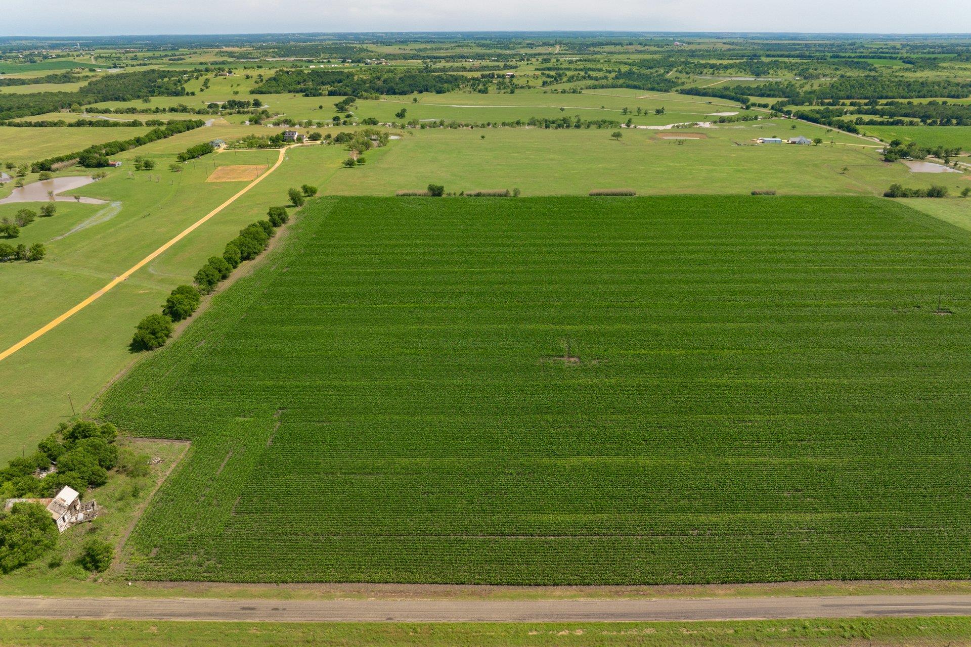 Tract 3 County Road 425, Thorndale, TX 76577