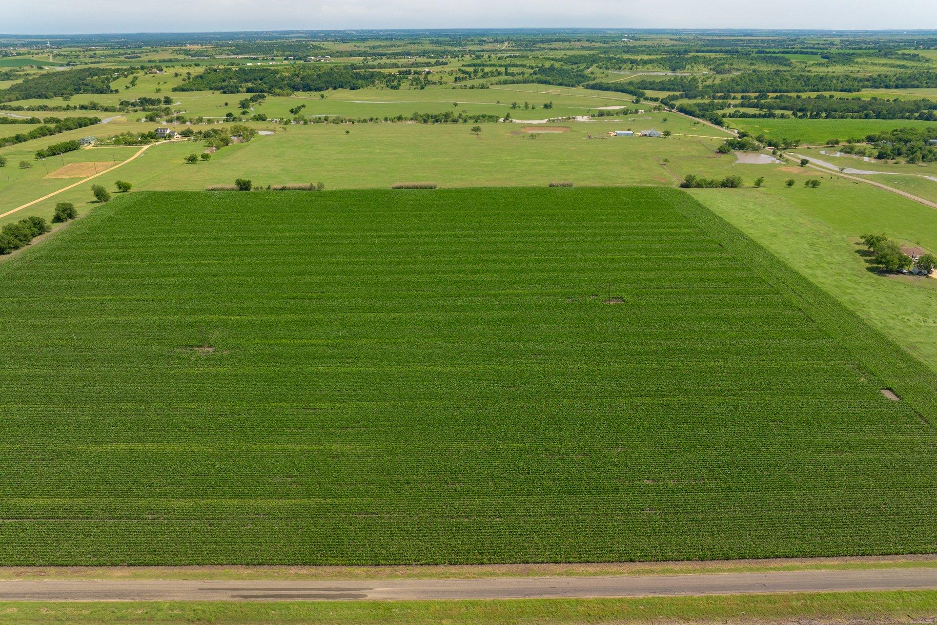 Tract 3 County Road 425, Thorndale, TX 76577