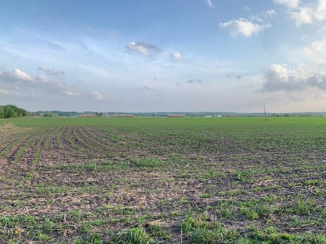 Tract 3 County Road 425, Thorndale, TX 76577