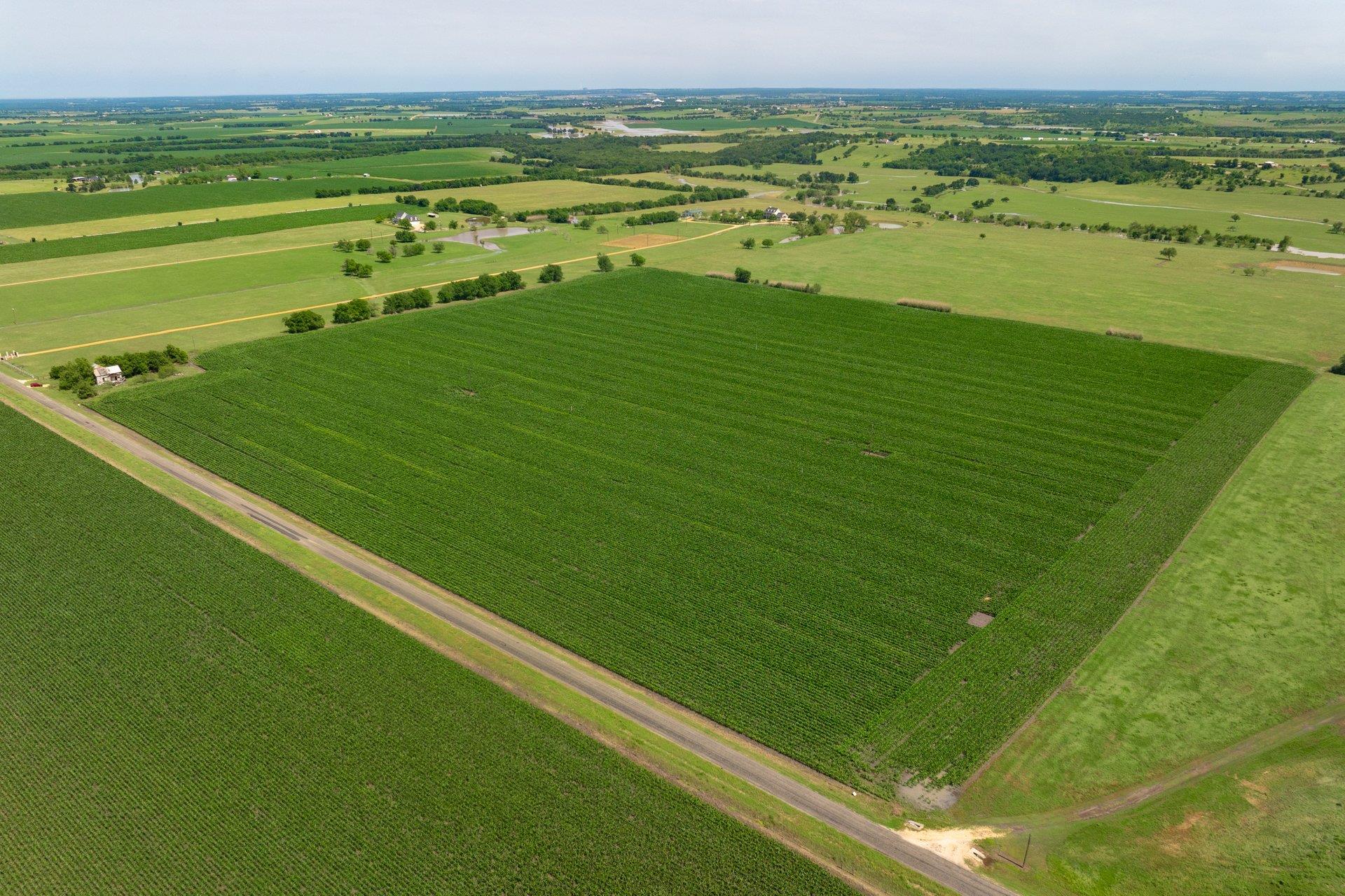 Tract 3 County Road 425, Thorndale, TX 76577