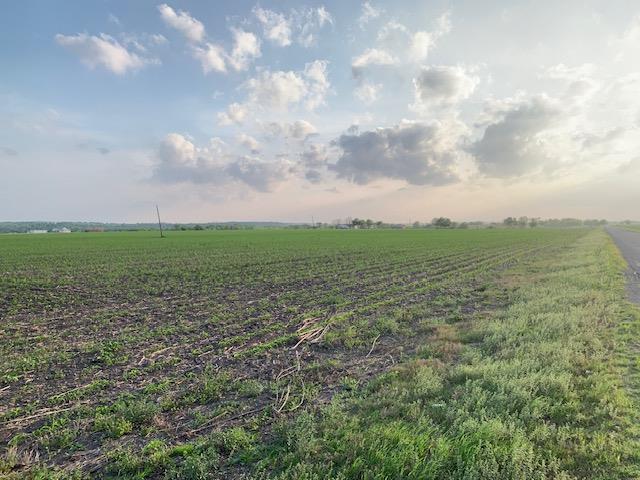 Tract 3 County Road 425, Thorndale, TX 76577