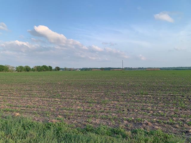 Tract 3 County Road 425, Thorndale, TX 76577