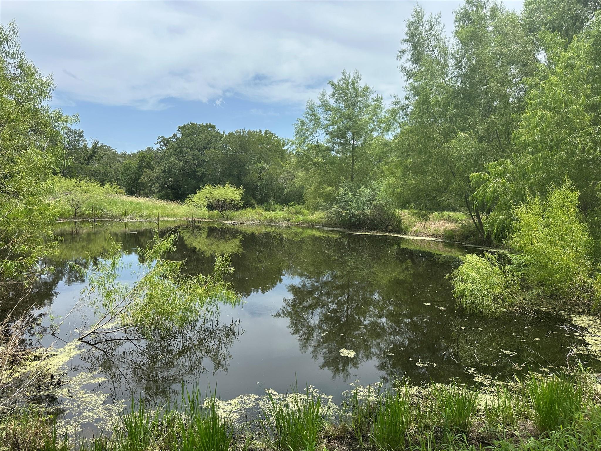 465 Catfish Ln, Lockhart, TX 78644