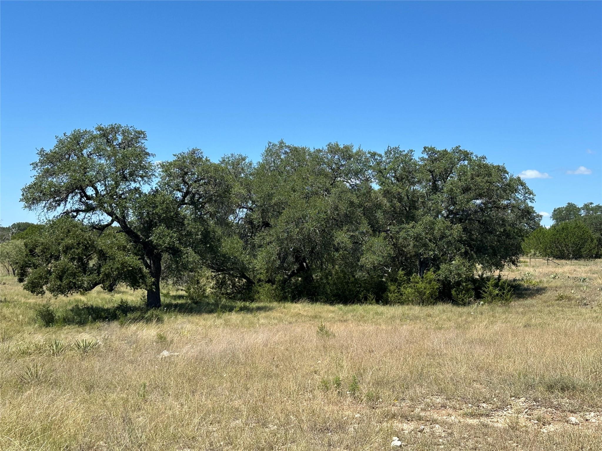 Lot 231 Winecup Dr, Lampasas, TX 76550