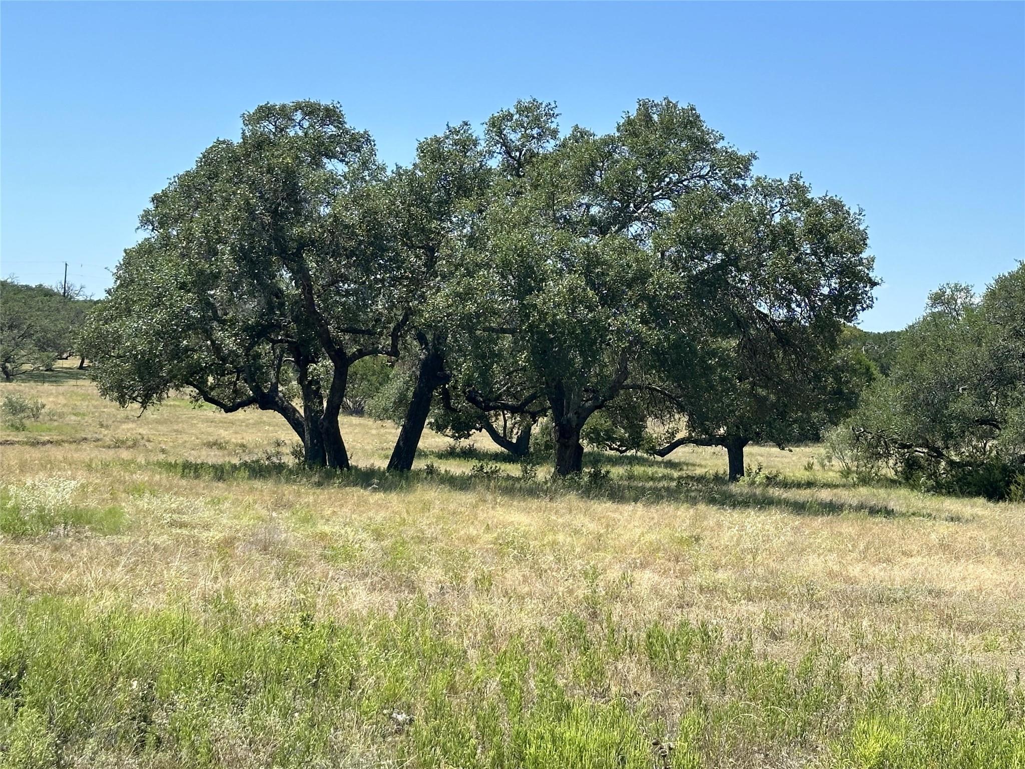 Lot 231 Winecup Dr, Lampasas, TX 76550