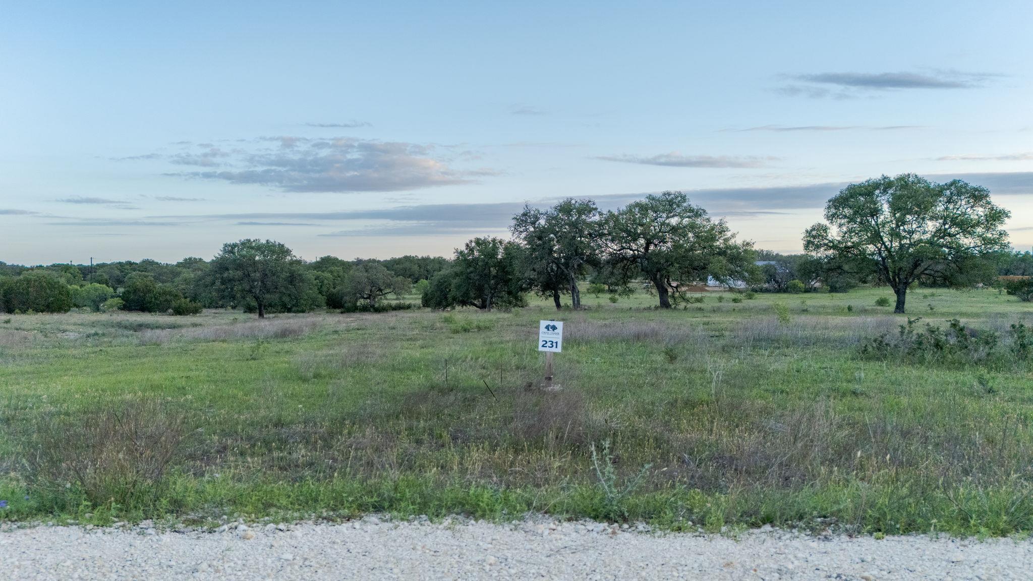 Lot 231 Winecup Dr, Lampasas, TX 76550