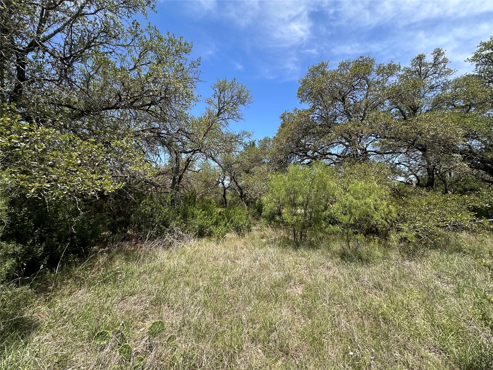 Lot 64 Rycen Dr, Bertram, TX 78605