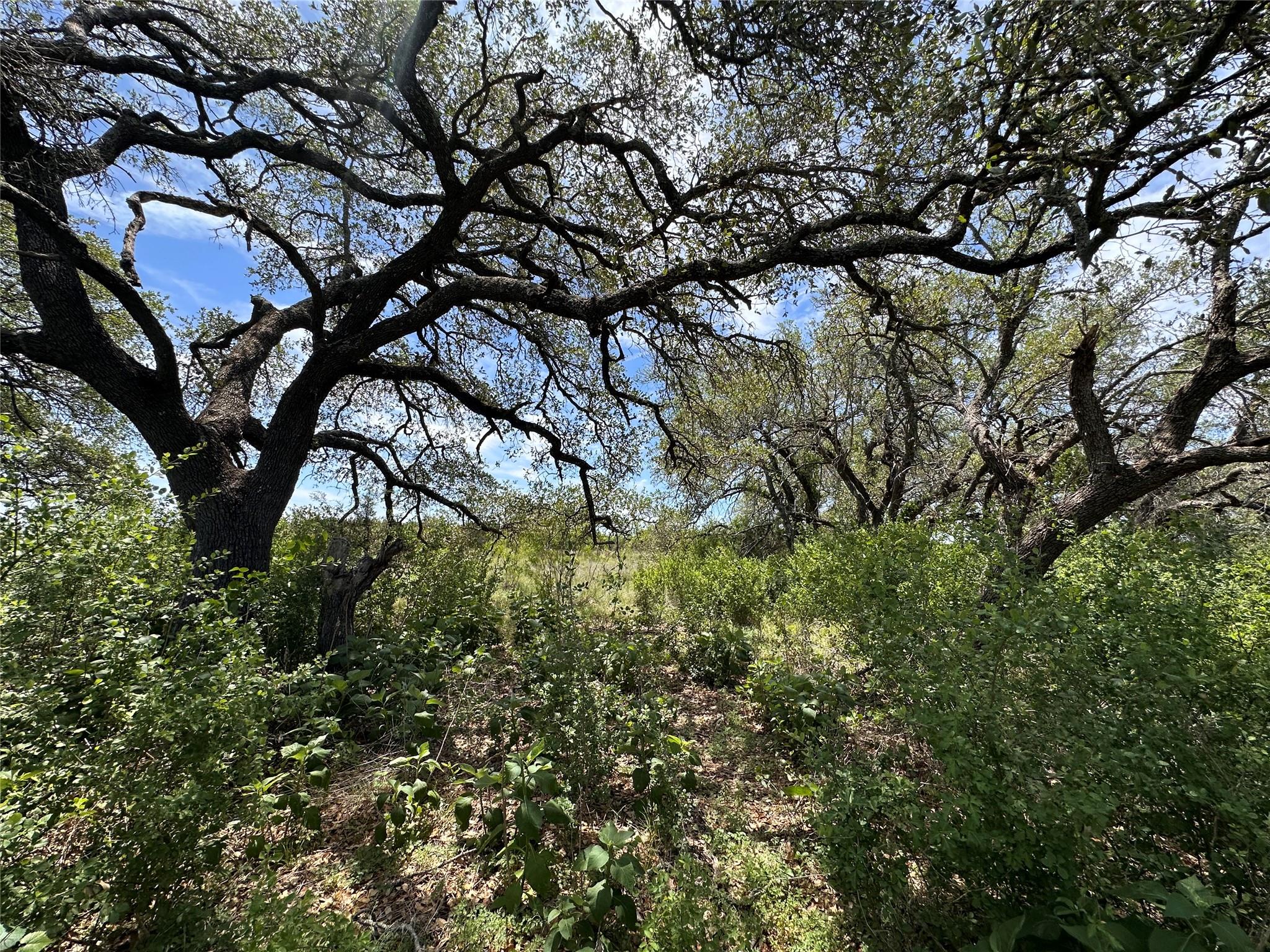 Lot 64 Rycen Dr, Bertram, TX 78605