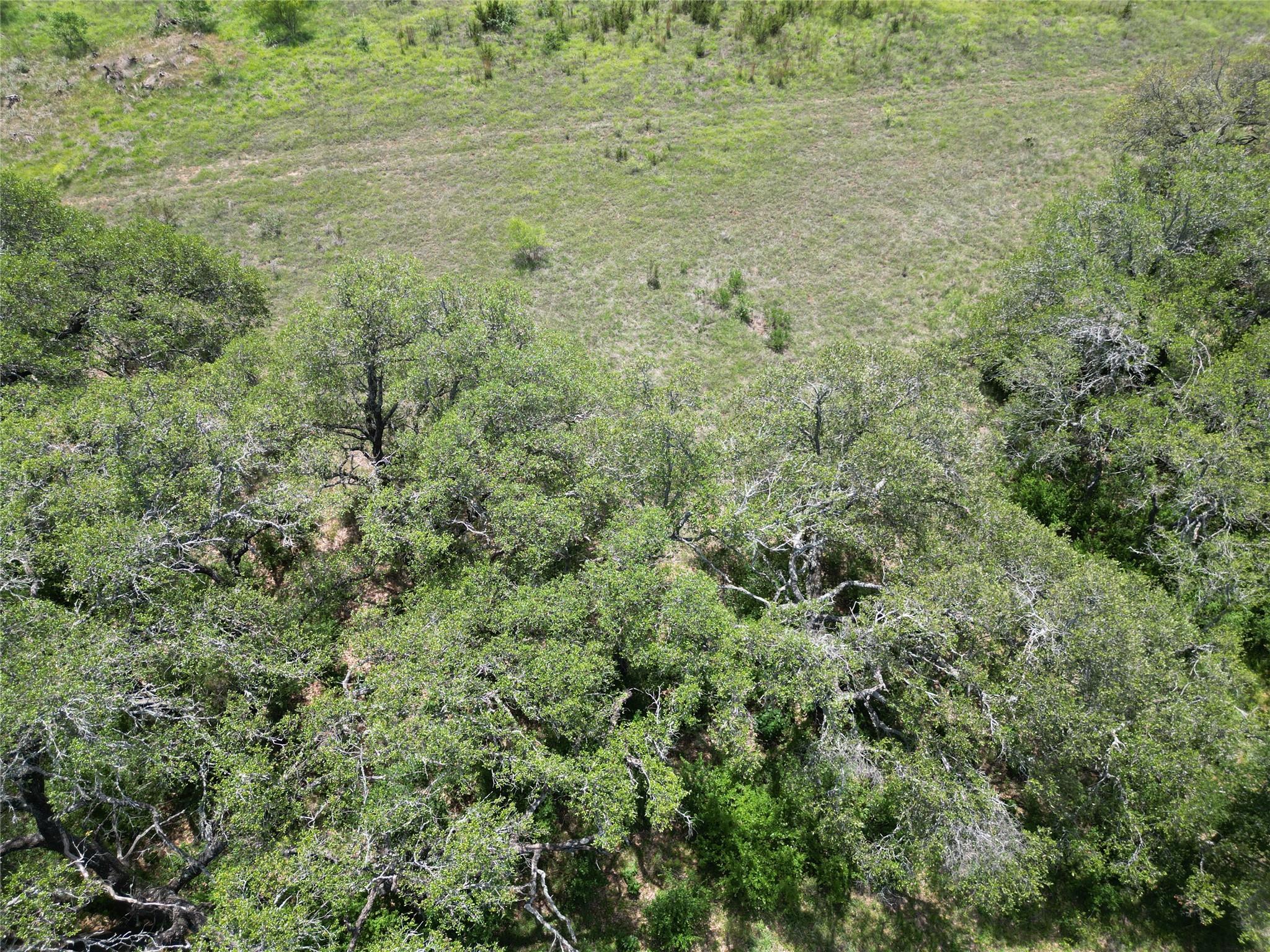 Lot 64 Rycen Dr, Bertram, TX 78605