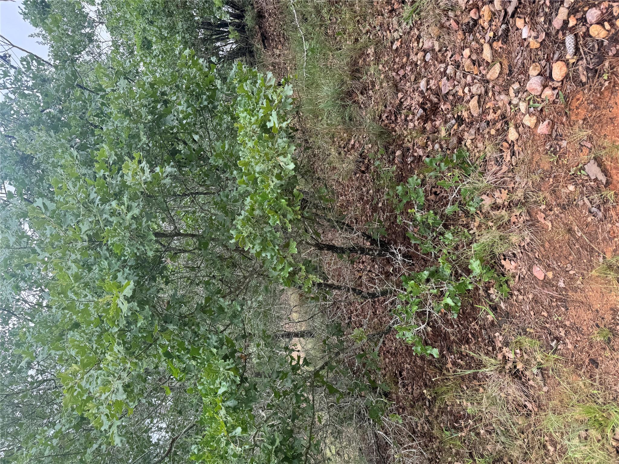 Lot 1613 Kaanapali Ln, Bastrop, TX 78602