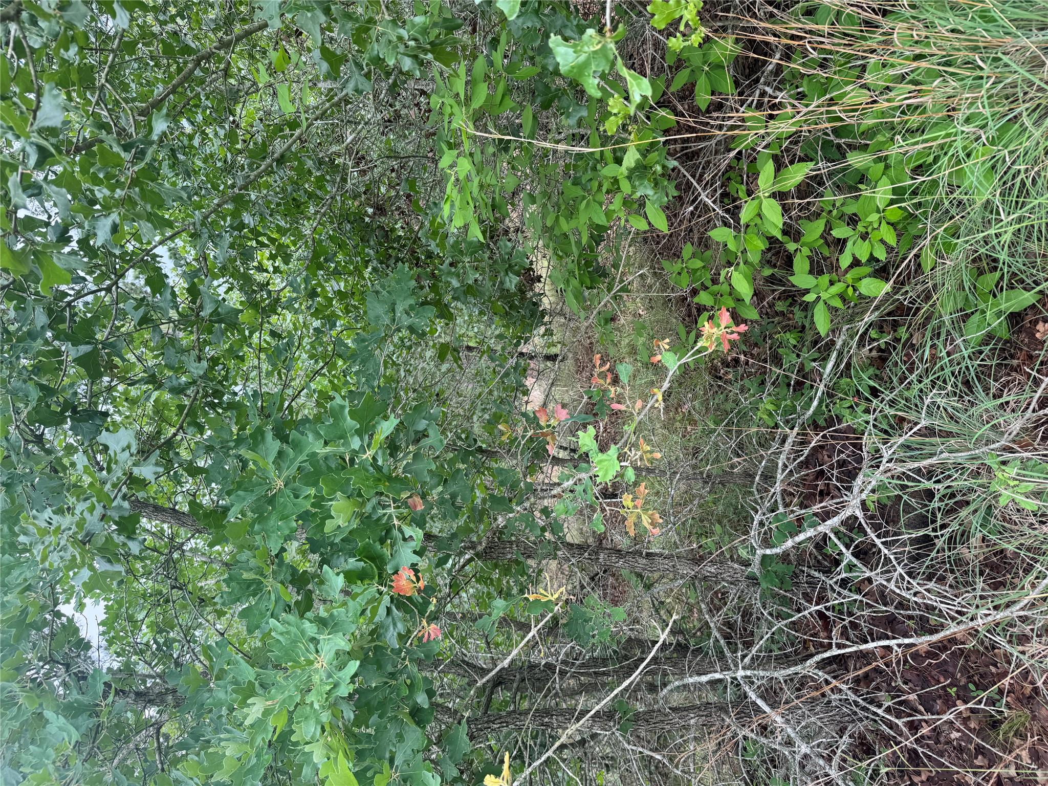 Lot 1613 Kaanapali Ln, Bastrop, TX 78602