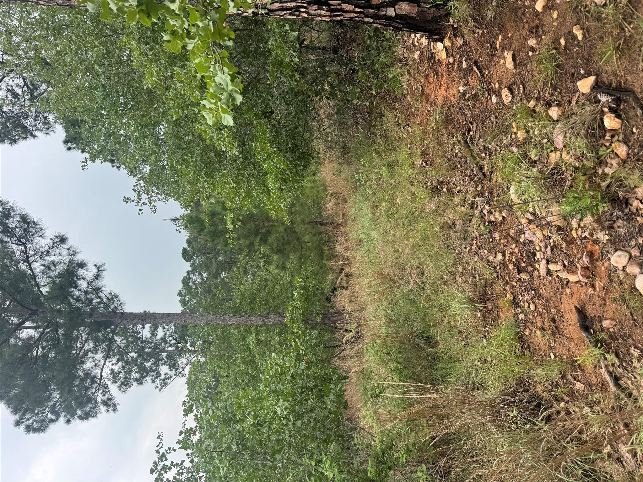 Lot 1613 Kaanapali Ln, Bastrop, TX 78602