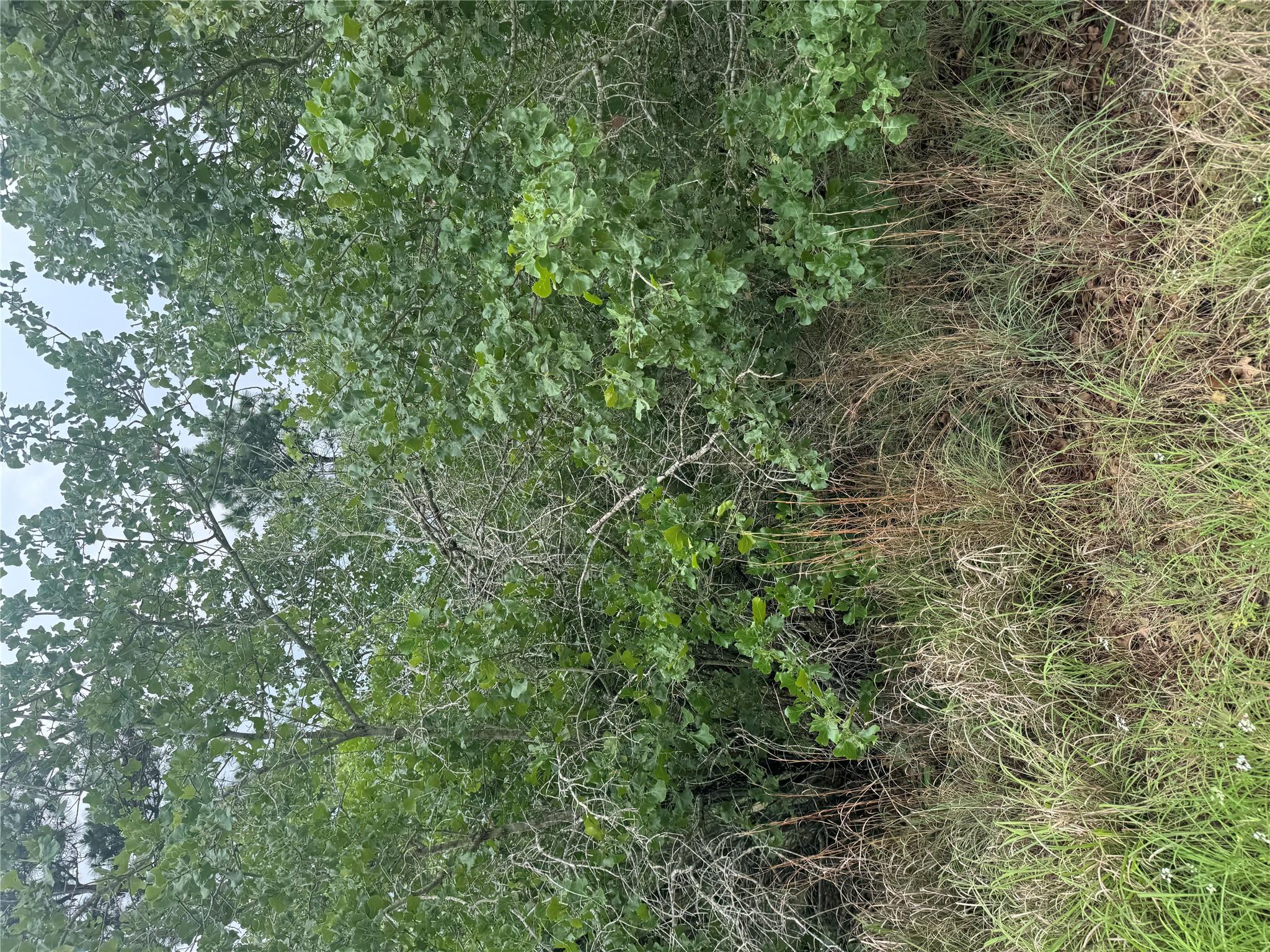 Lot 1613 Kaanapali Ln, Bastrop, TX 78602