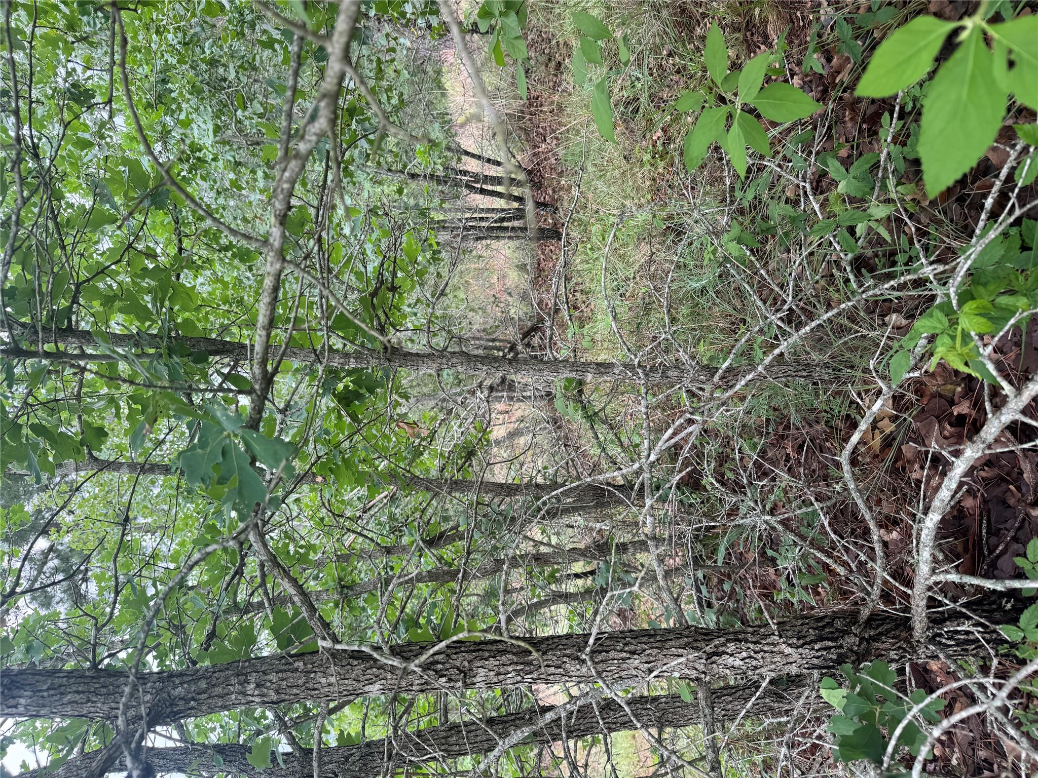 Lot 1613 Kaanapali Ln, Bastrop, TX 78602