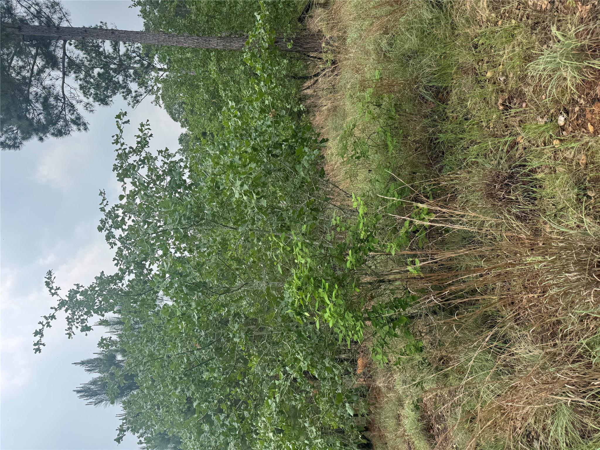 Lot 1613 Kaanapali Ln, Bastrop, TX 78602