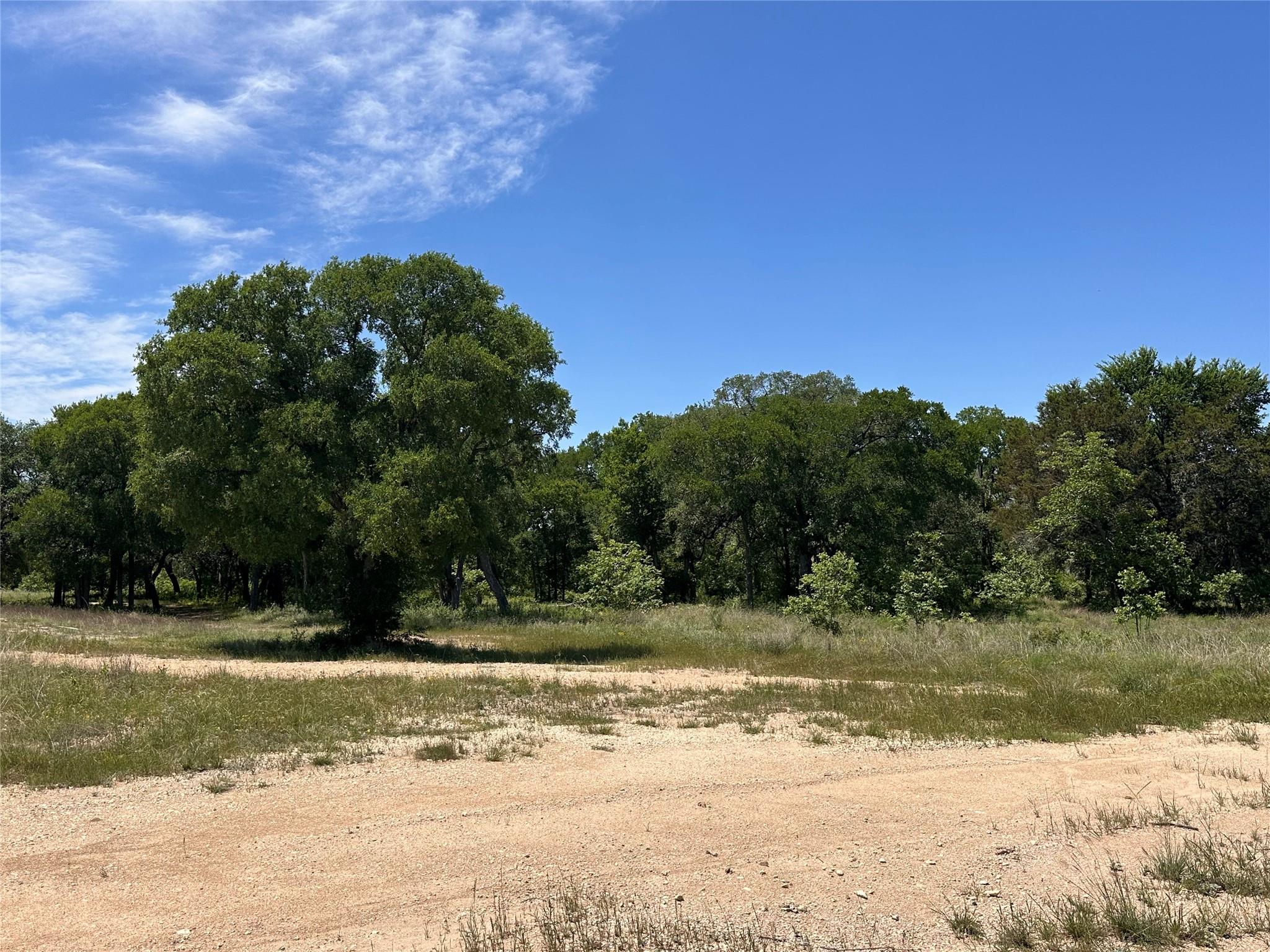 100 Serenity Dr, Liberty Hill, TX 78642