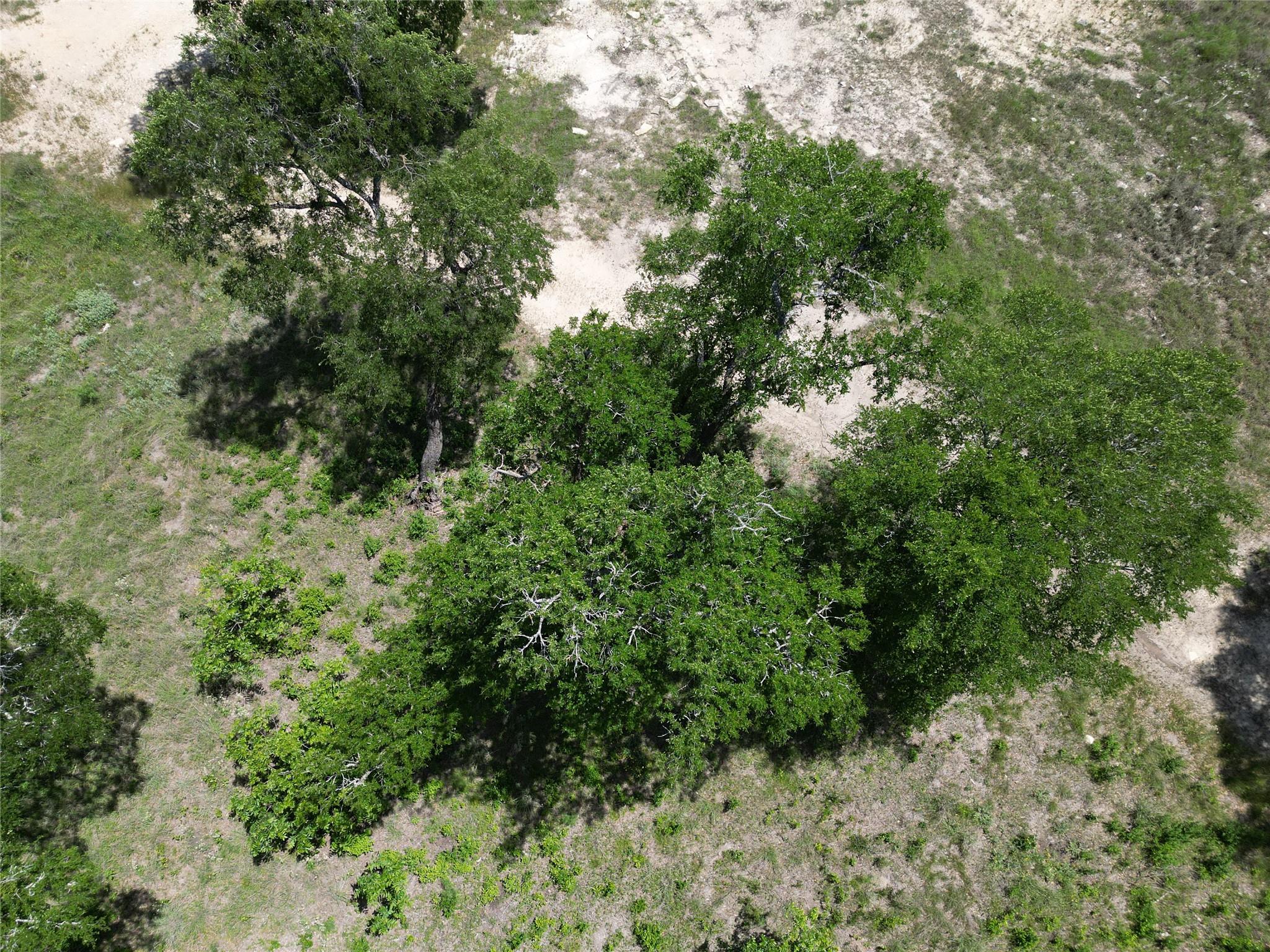 100 Serenity Dr, Liberty Hill, TX 78642