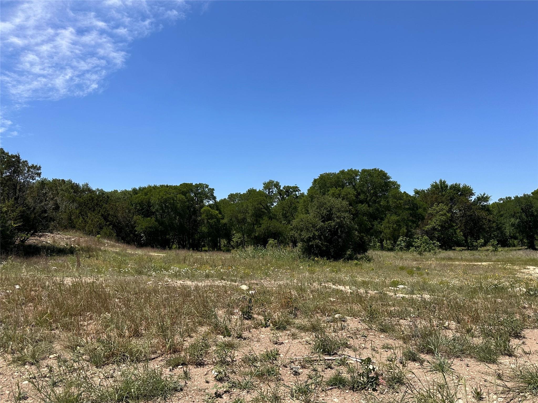 100 Serenity Dr, Liberty Hill, TX 78642