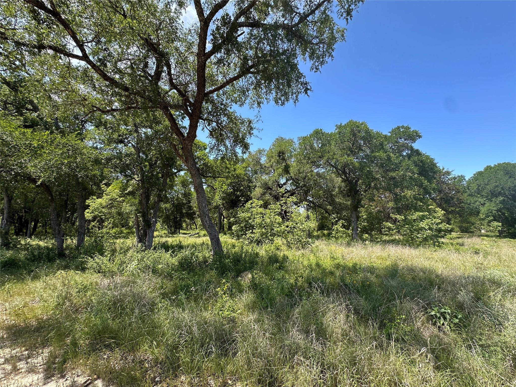 100 Serenity Dr, Liberty Hill, TX 78642