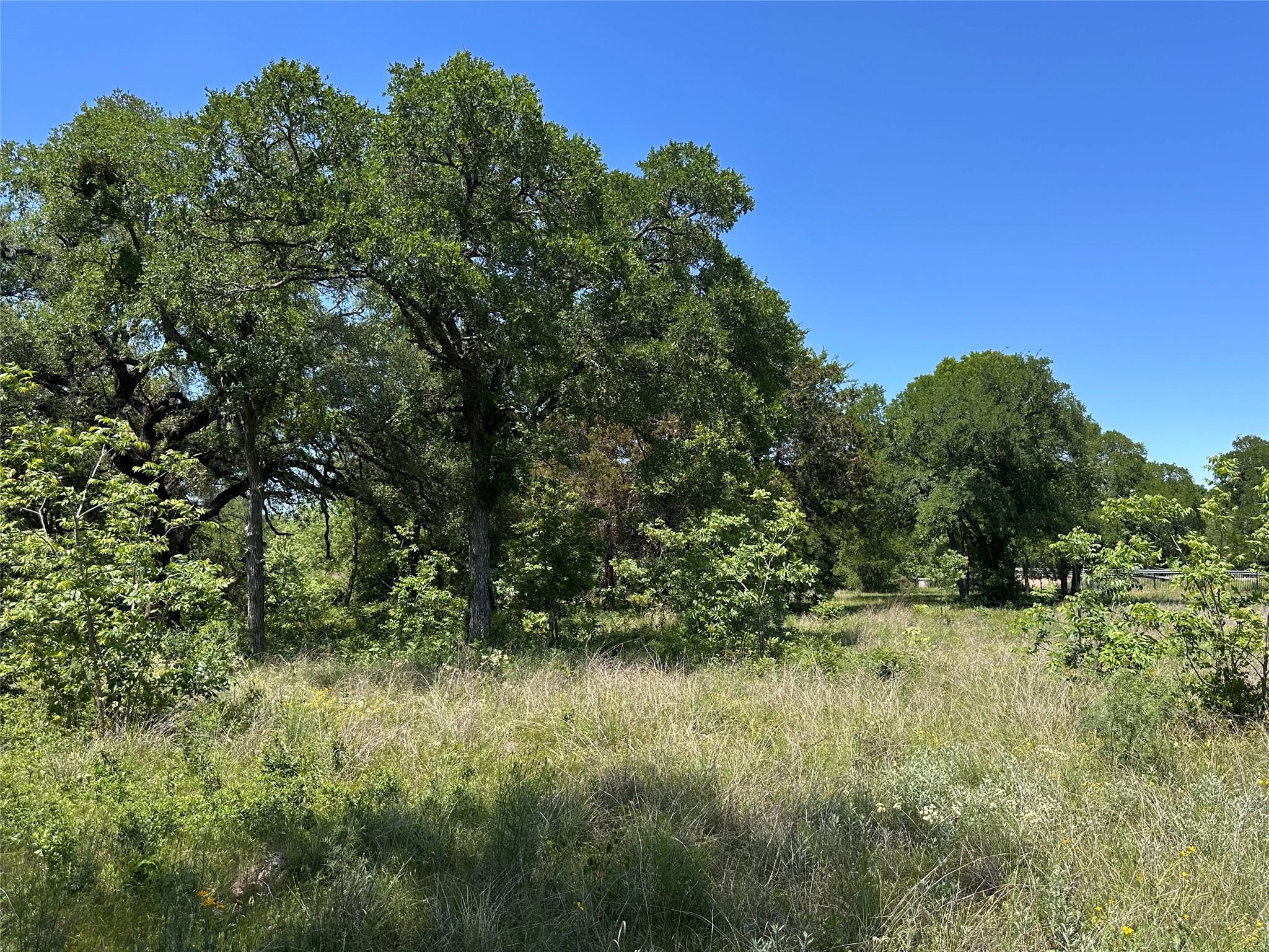 100 Serenity Dr, Liberty Hill, TX 78642