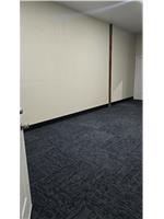 305 Remuda Dr, Liberty Hill, TX 78642