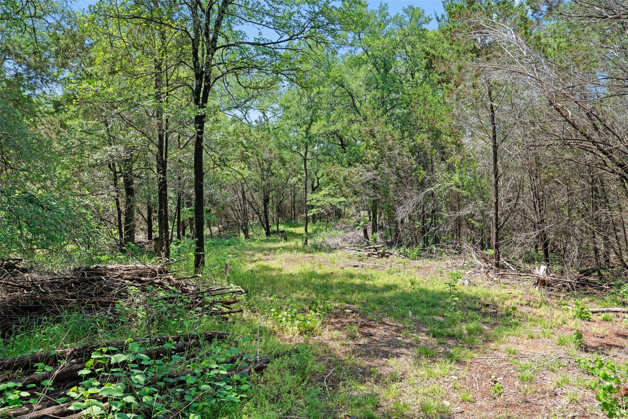 419 Valley View West Rd, San Marcos, TX 78666