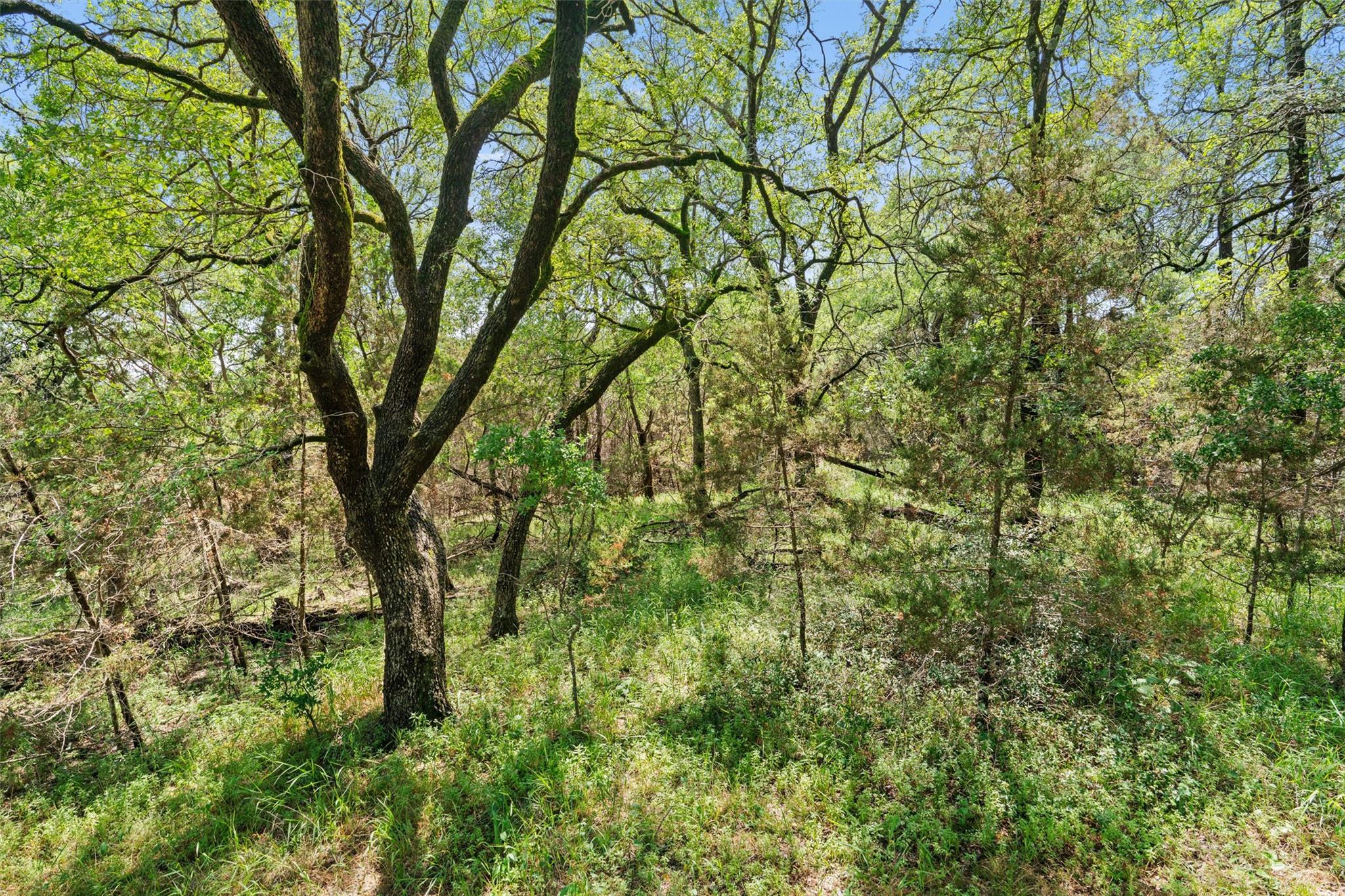 419 Valley View West Rd, San Marcos, TX 78666