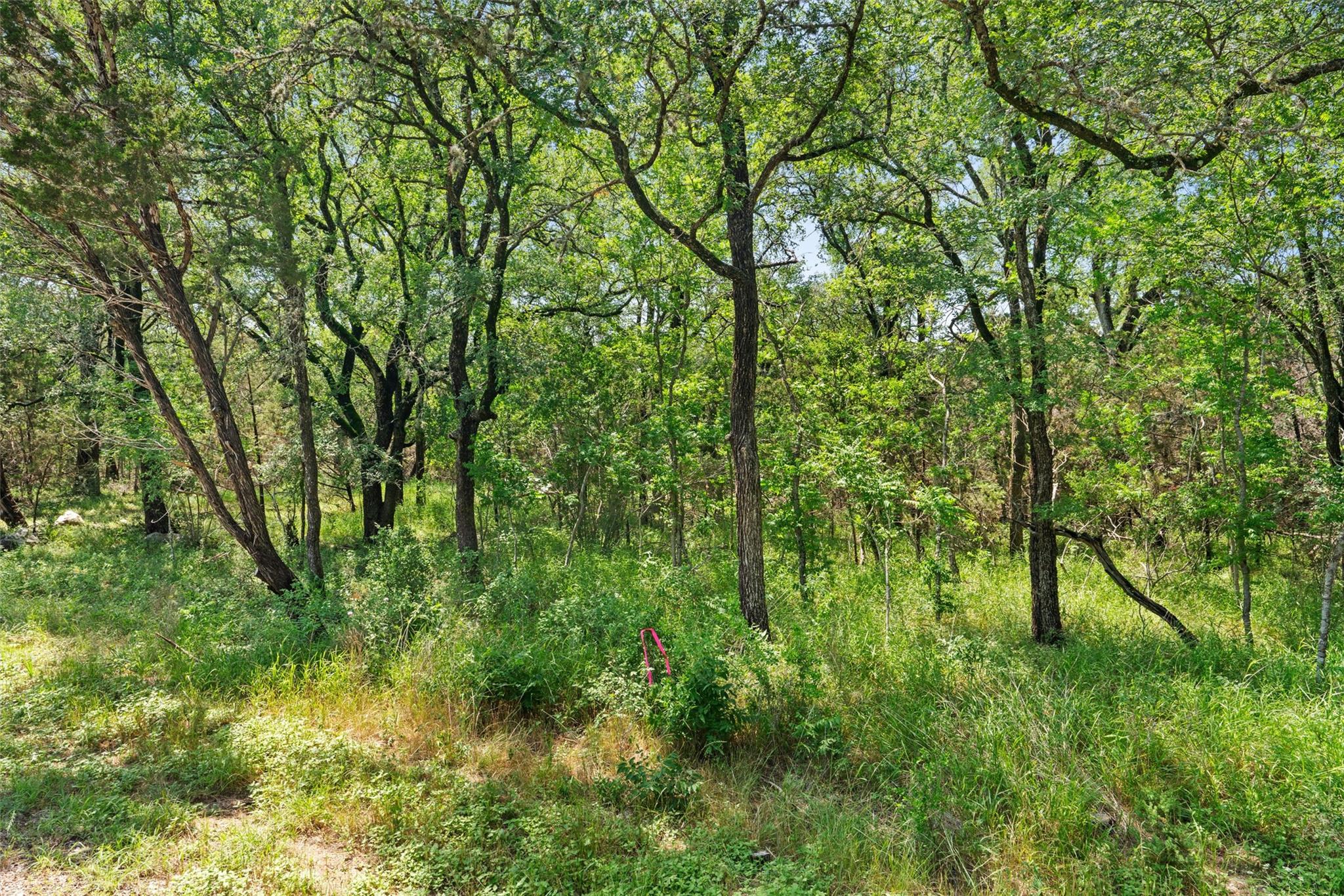 419 Valley View West Rd, San Marcos, TX 78666