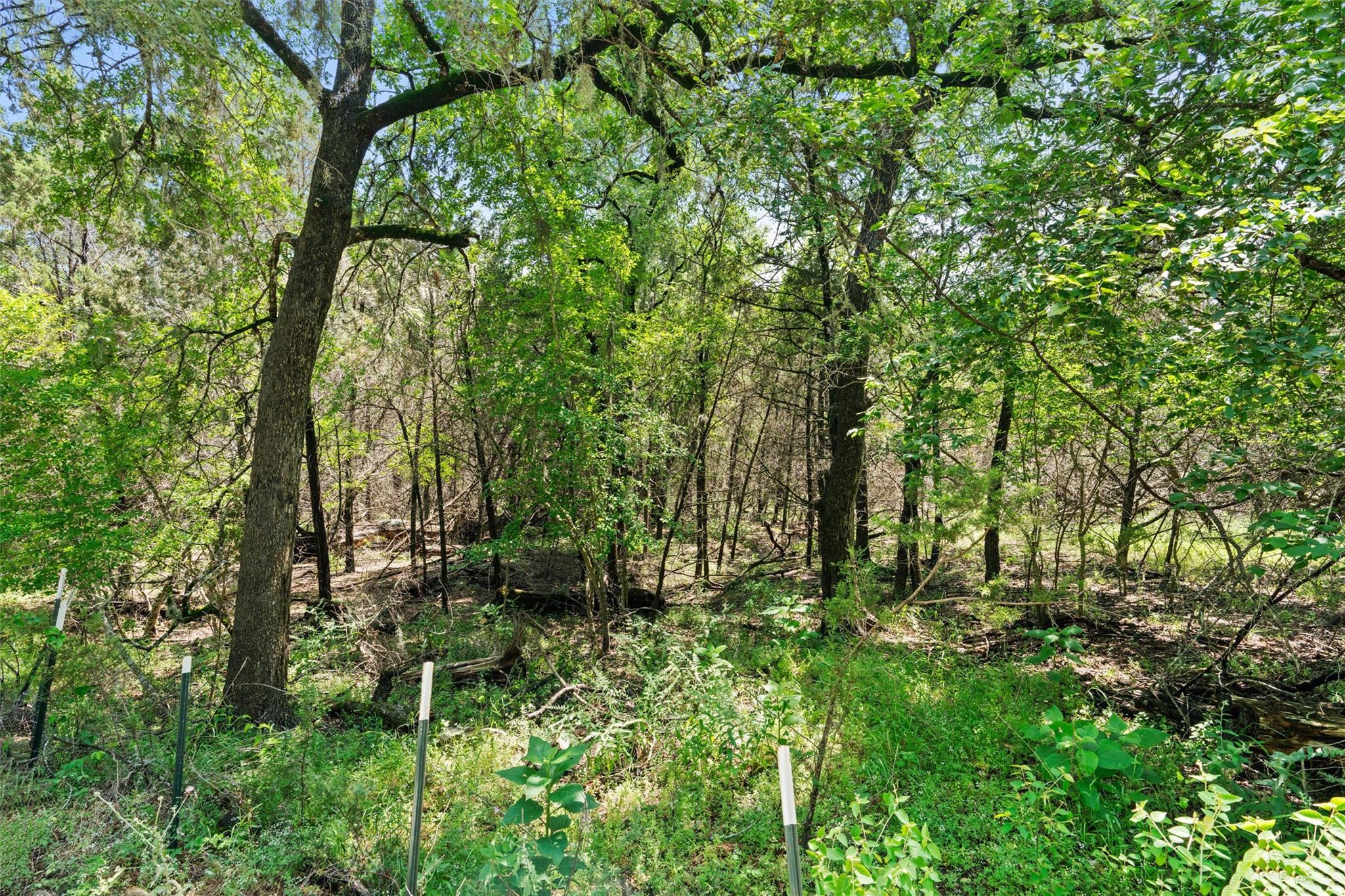 419 Valley View West Rd, San Marcos, TX 78666